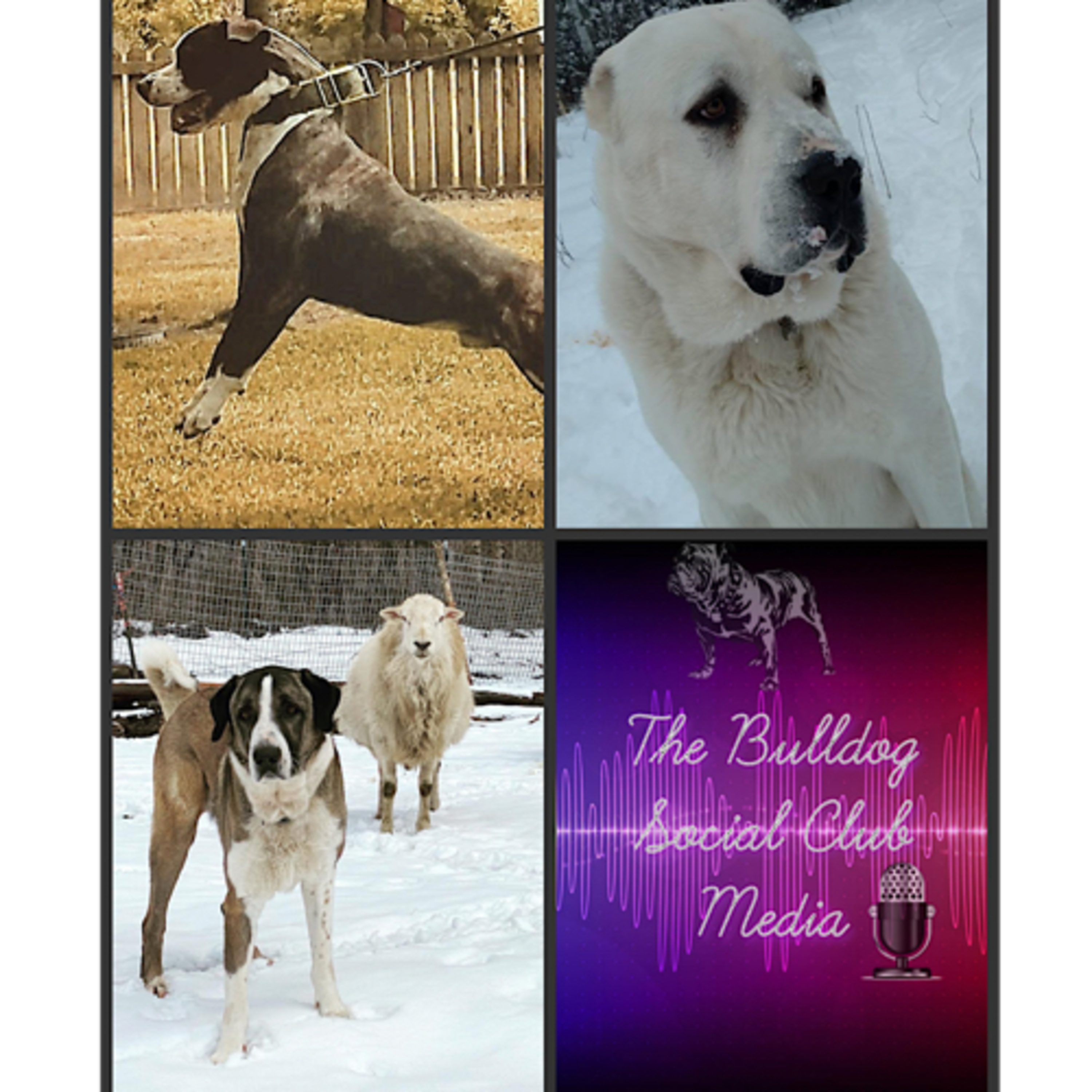 Episode 102: Jason Price - Natalie Thurman - Ekaterina R. Rekowski