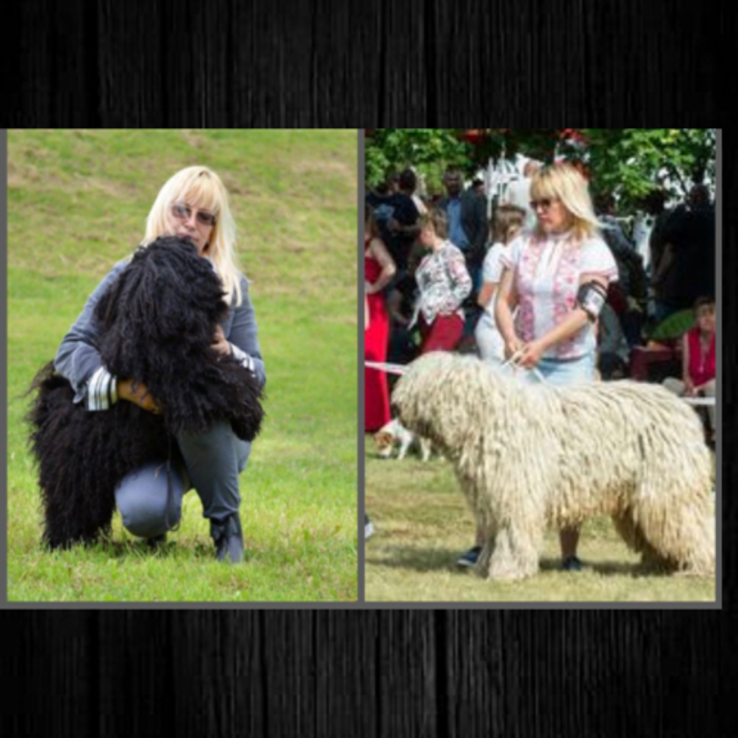 Episode 105: Komondor/Puli - Talpai Melinda from Somogyi Betyár Kennel