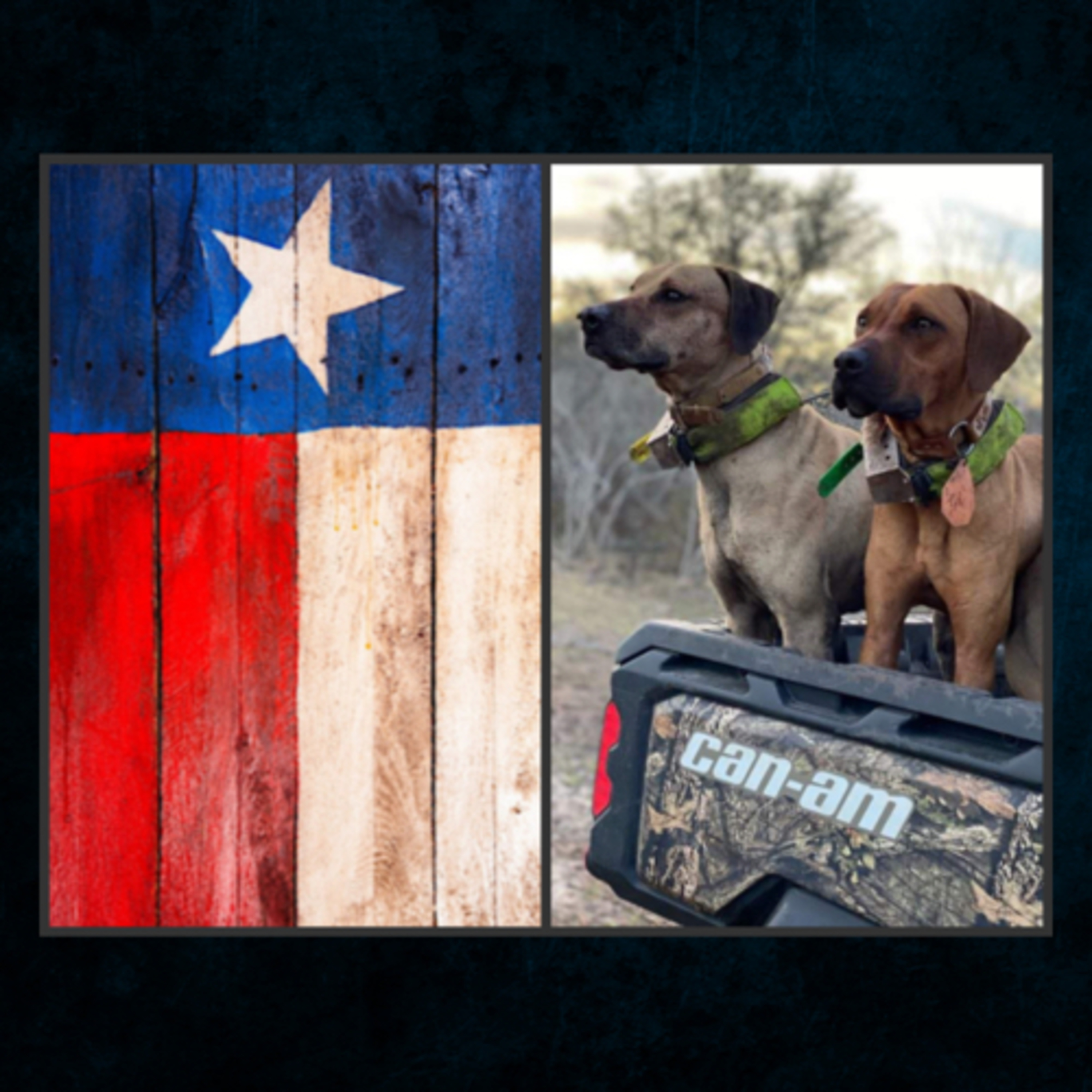 Breeder Profile: Hog Dogs - Dusty Roberts from Southyrn Maverick Kennels (Part 1) episode artwork