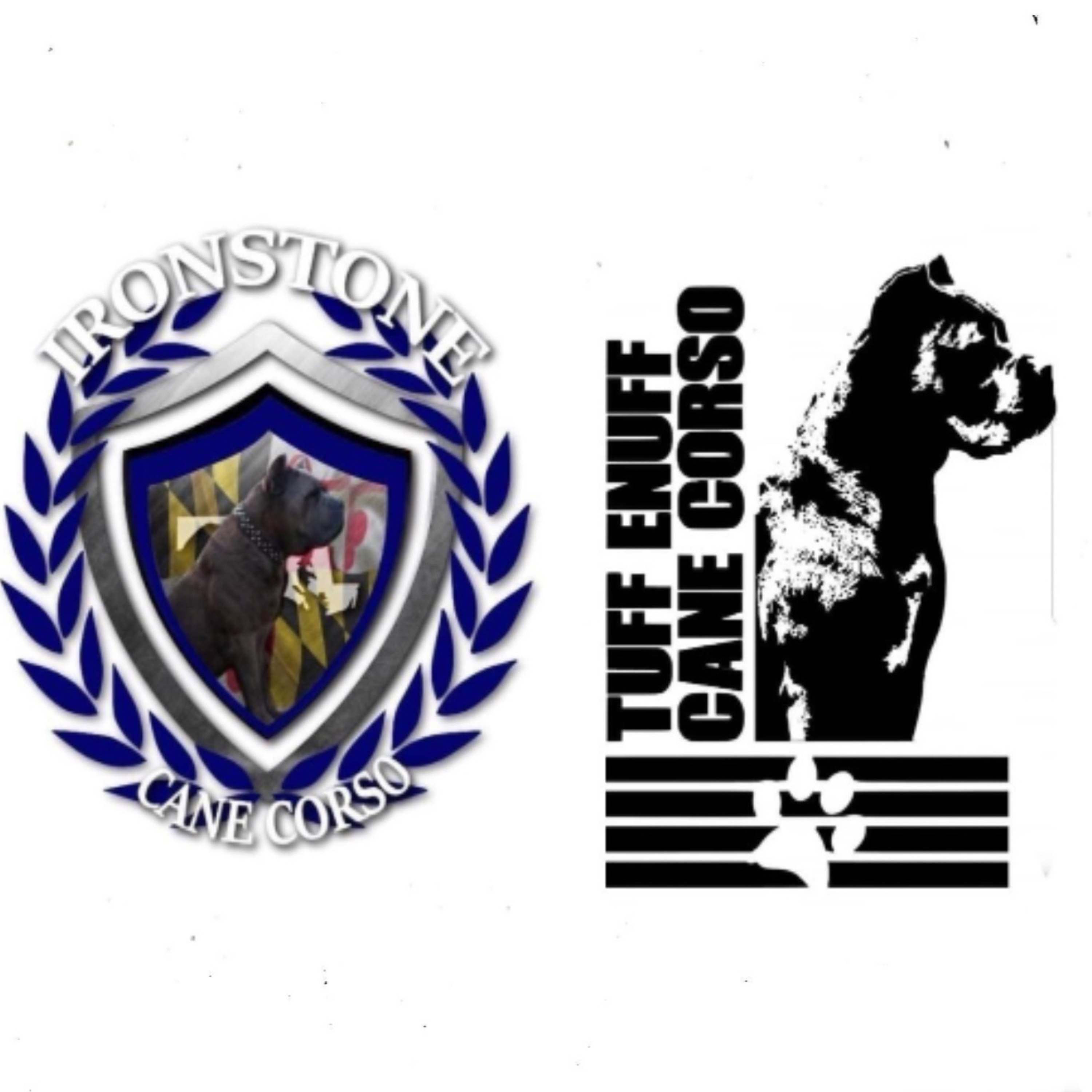 Episode 129: Cane Corso Brotherhood Dion Key & Reginald Williams episode artwork