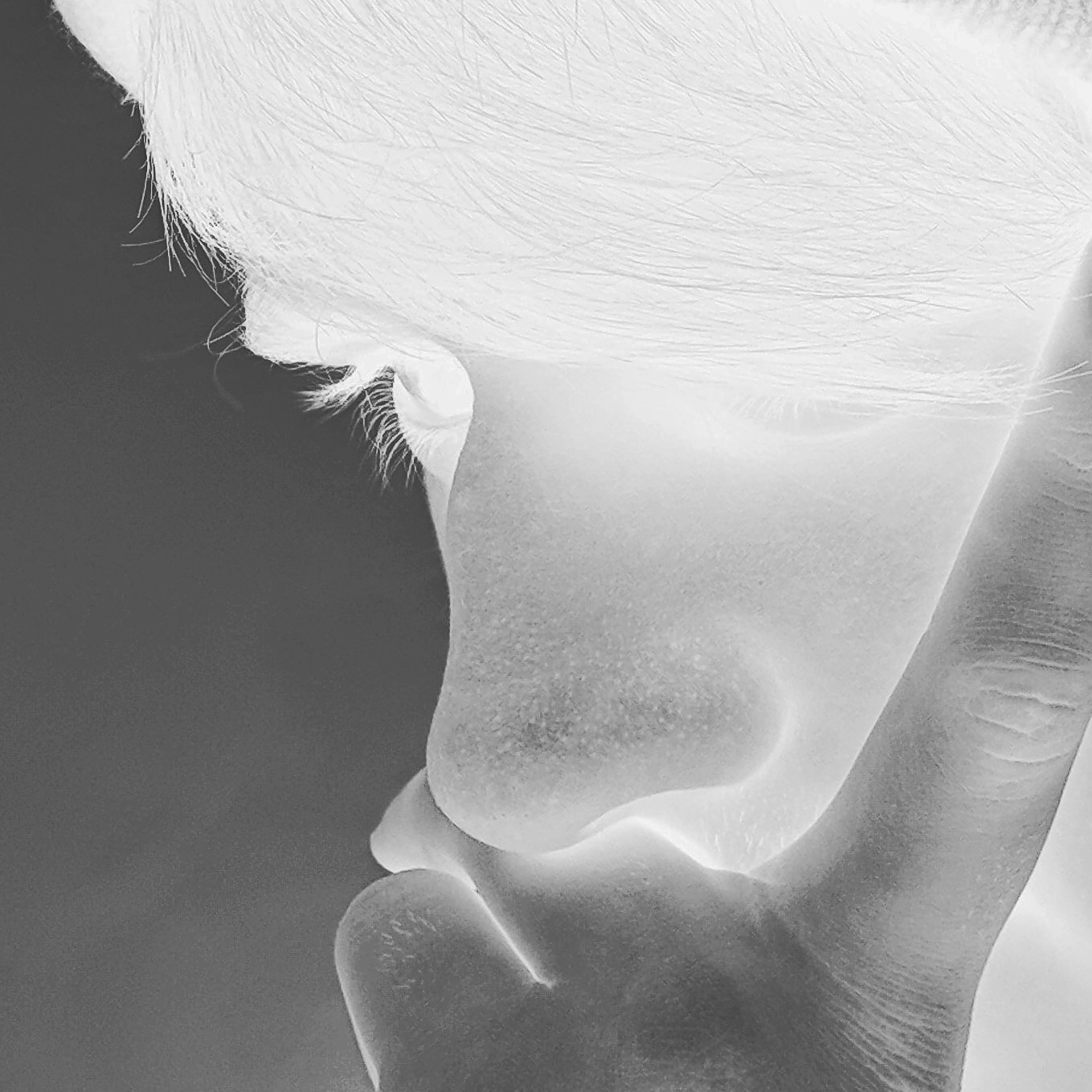 Talking to Myself | #001
