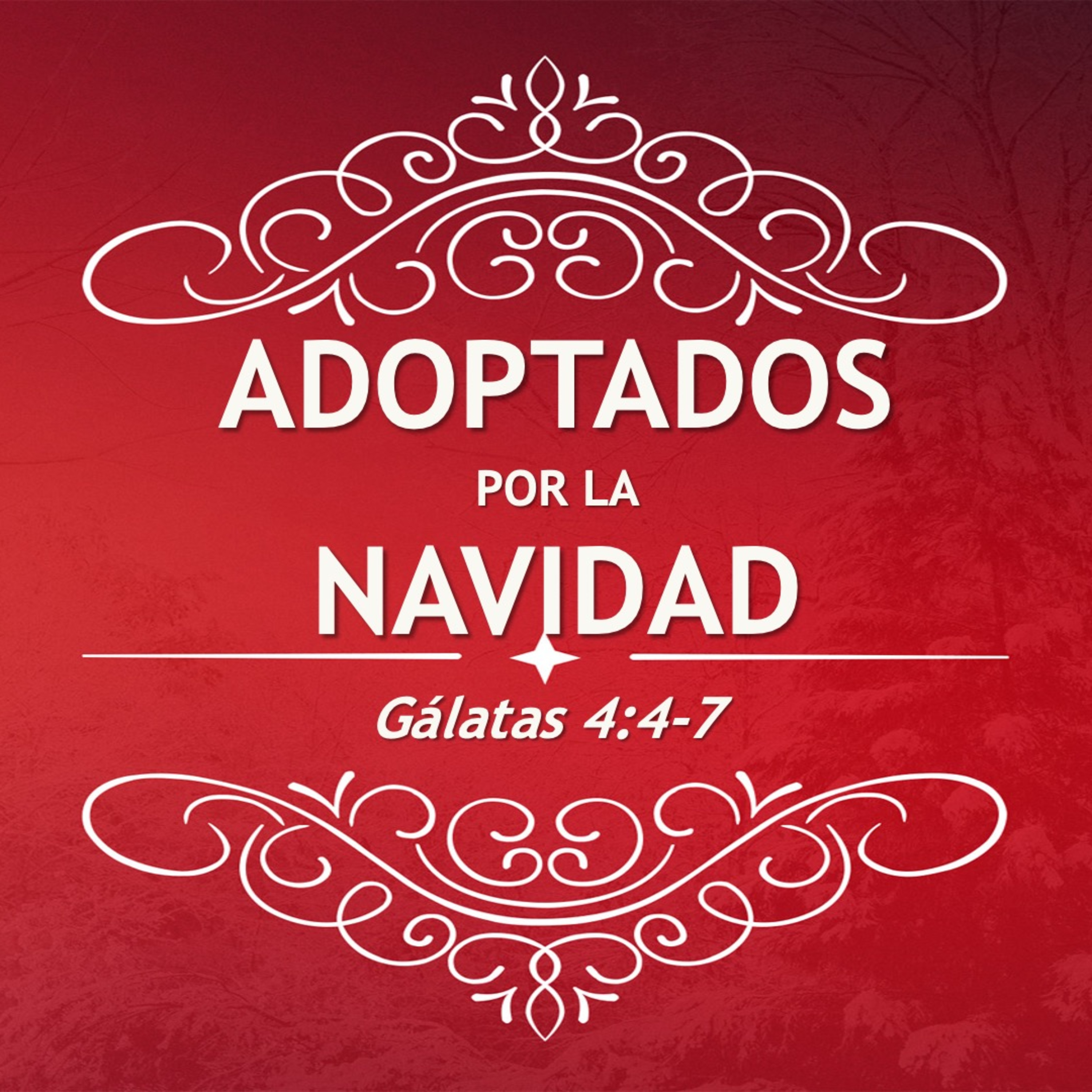 Cordero De Dios