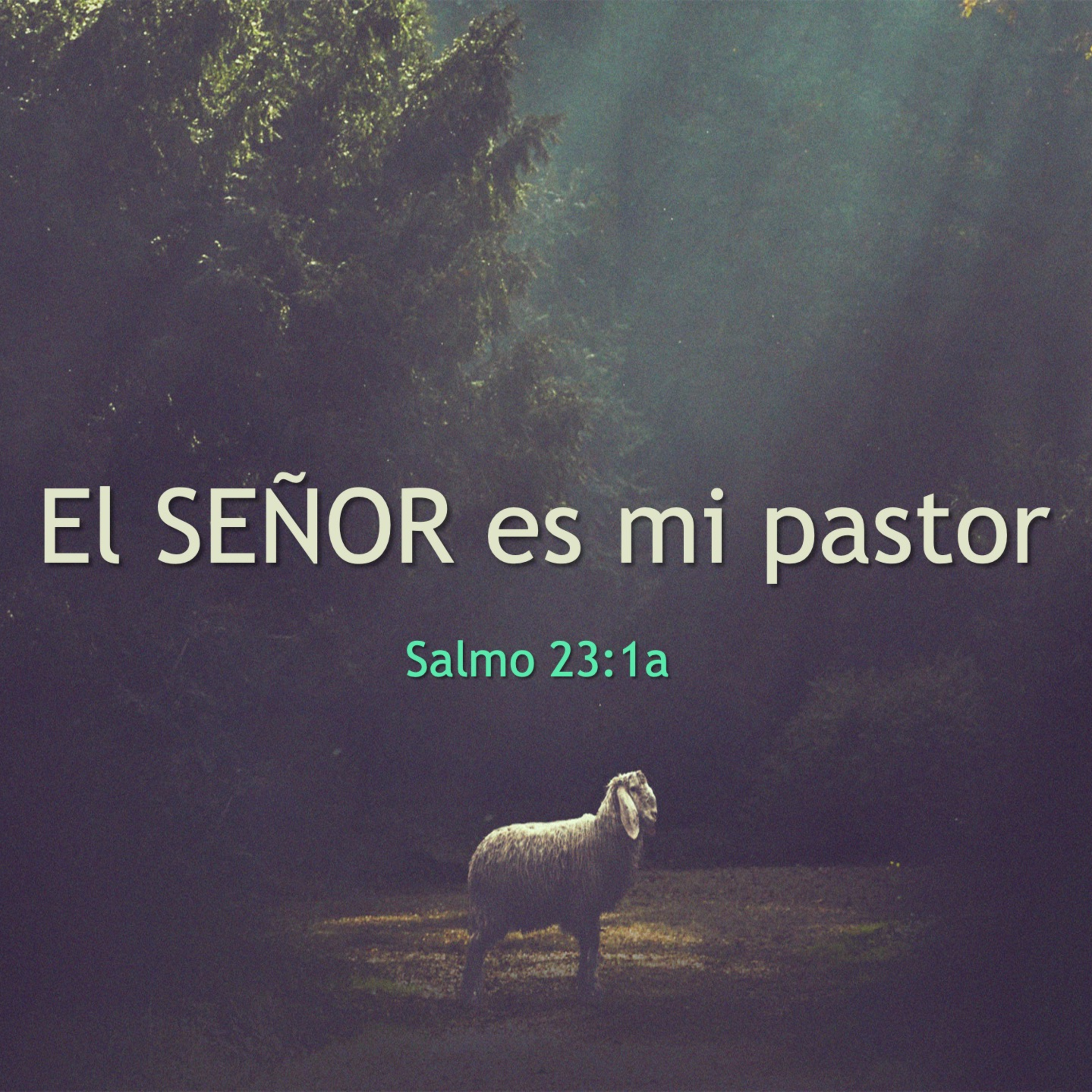 Cordero De Dios