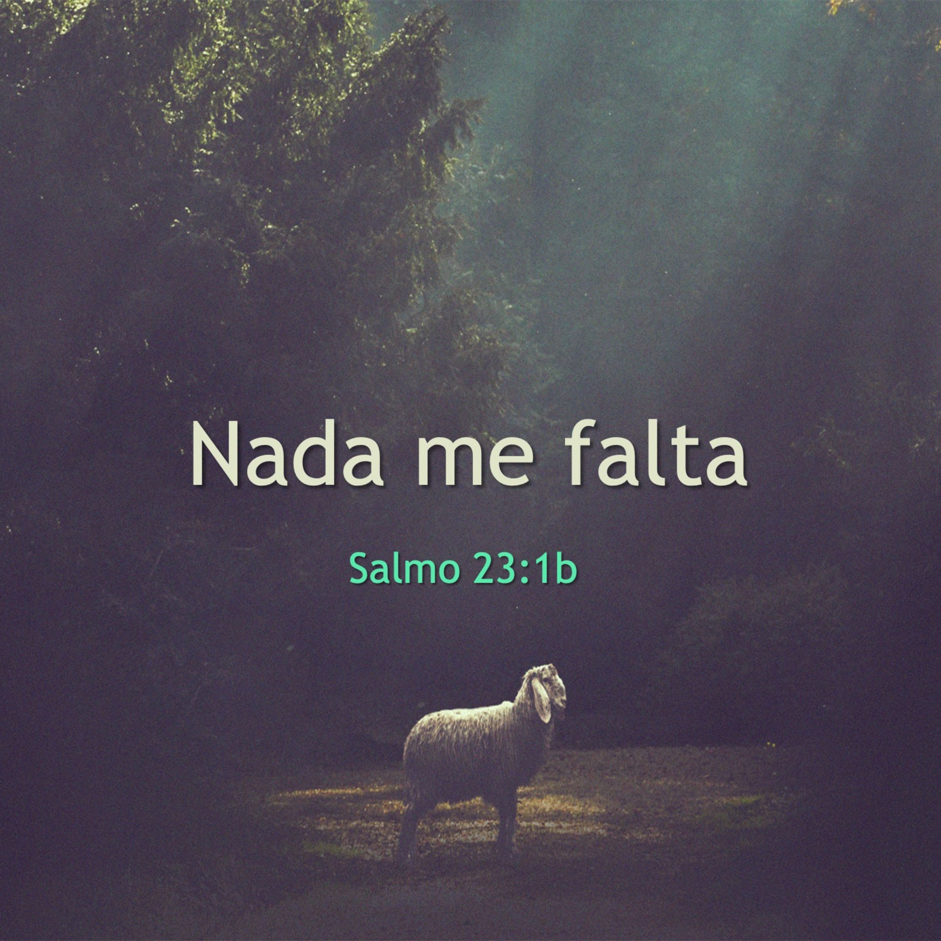 Cordero De Dios