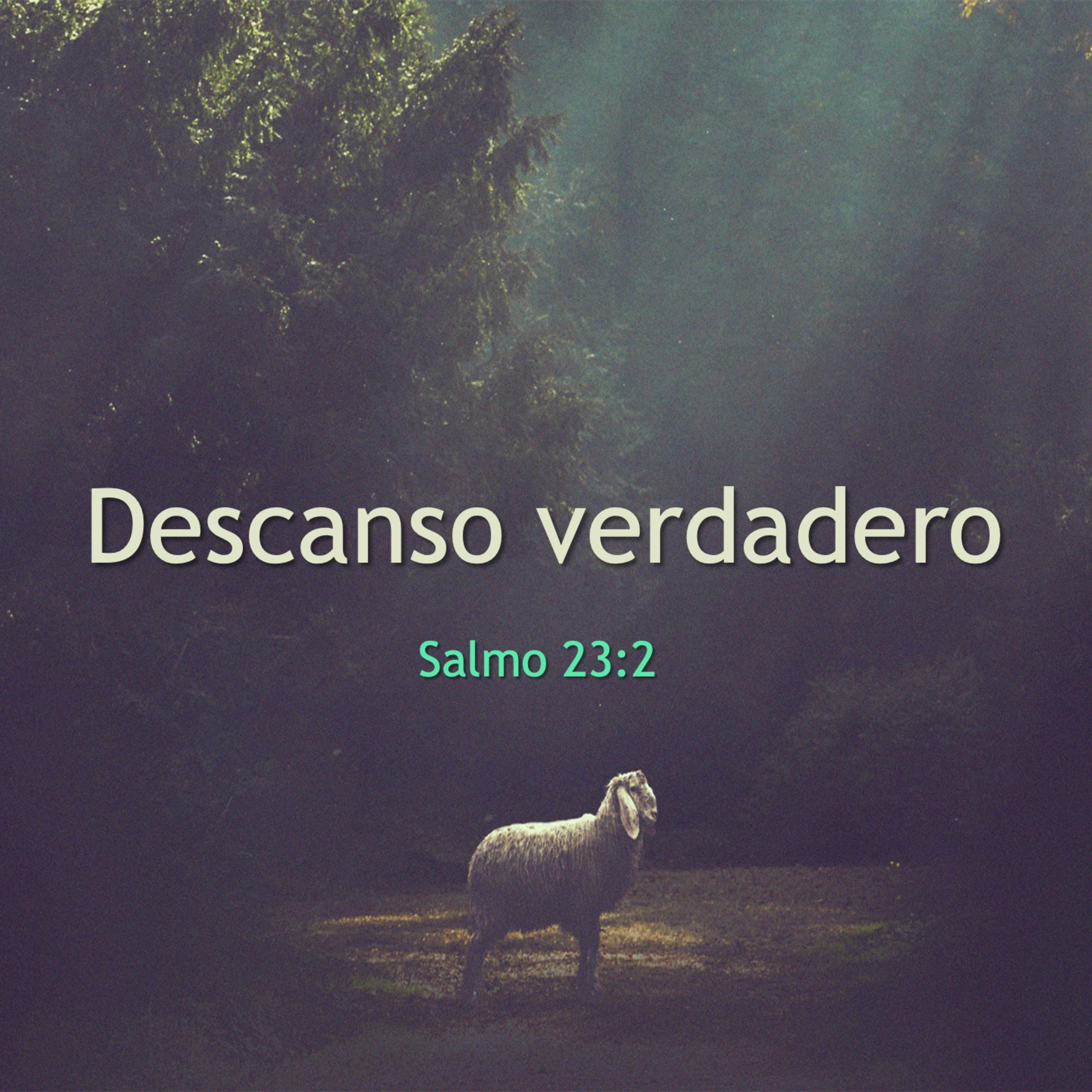 Cordero De Dios