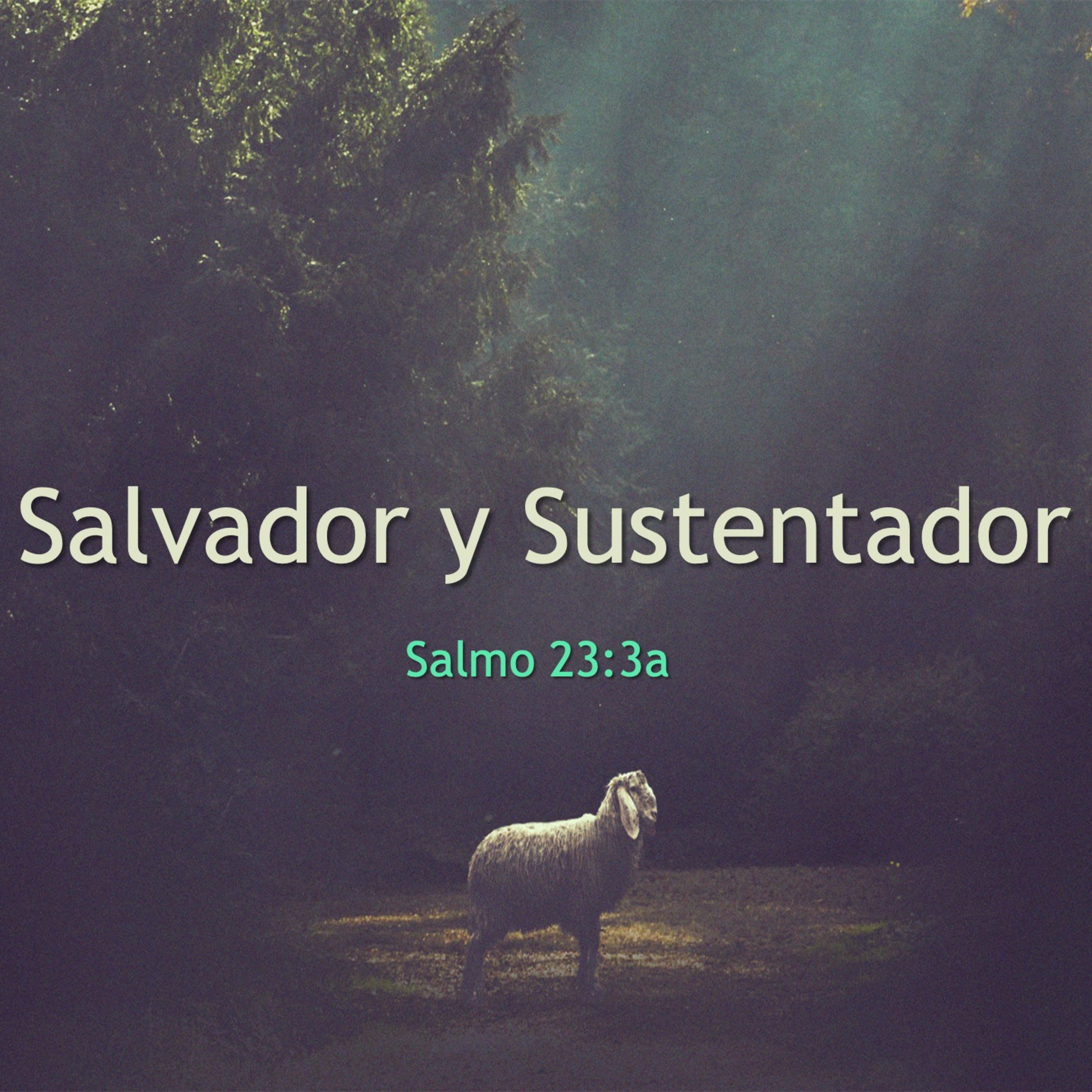 Portada de Cordero De Dios
