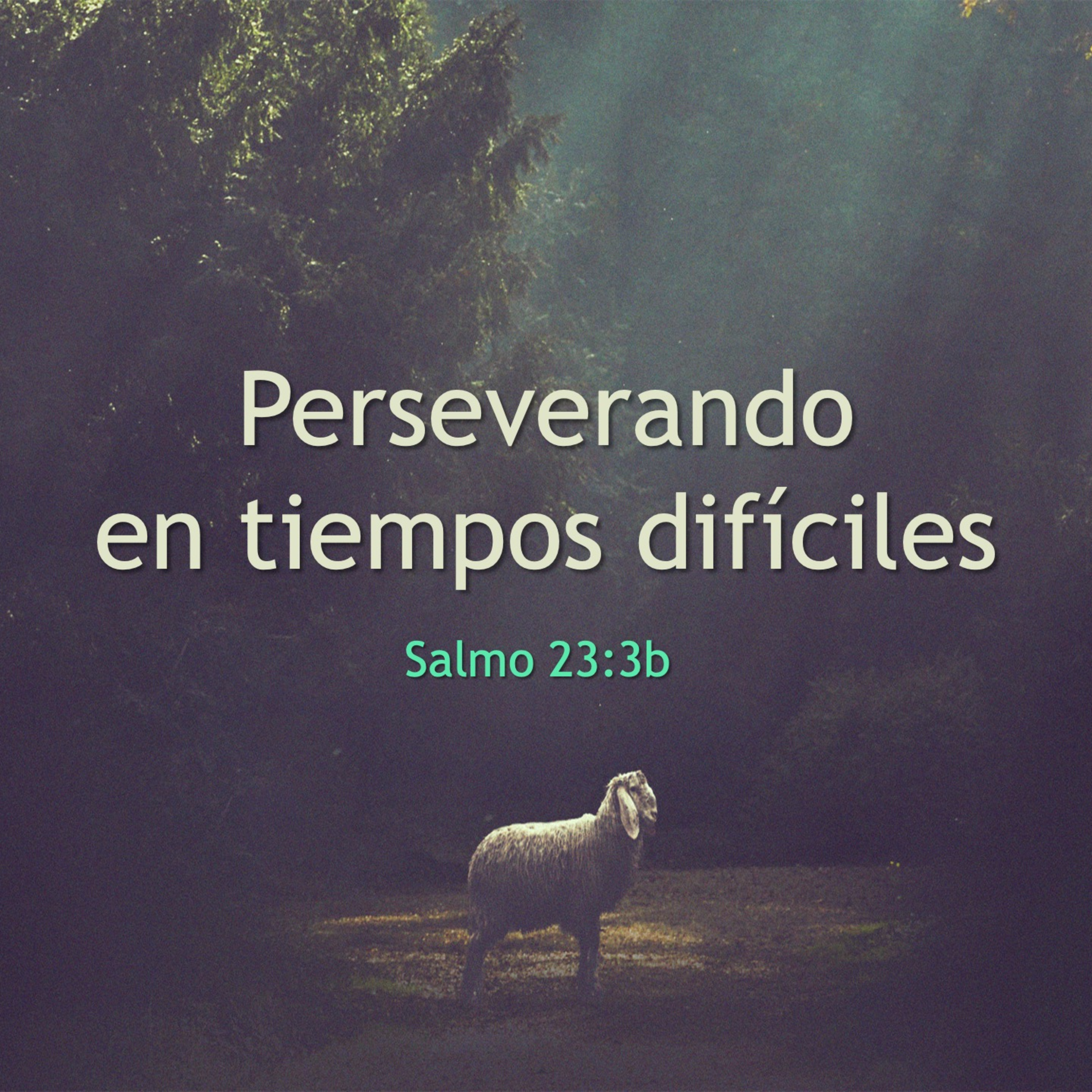 Cordero De Dios