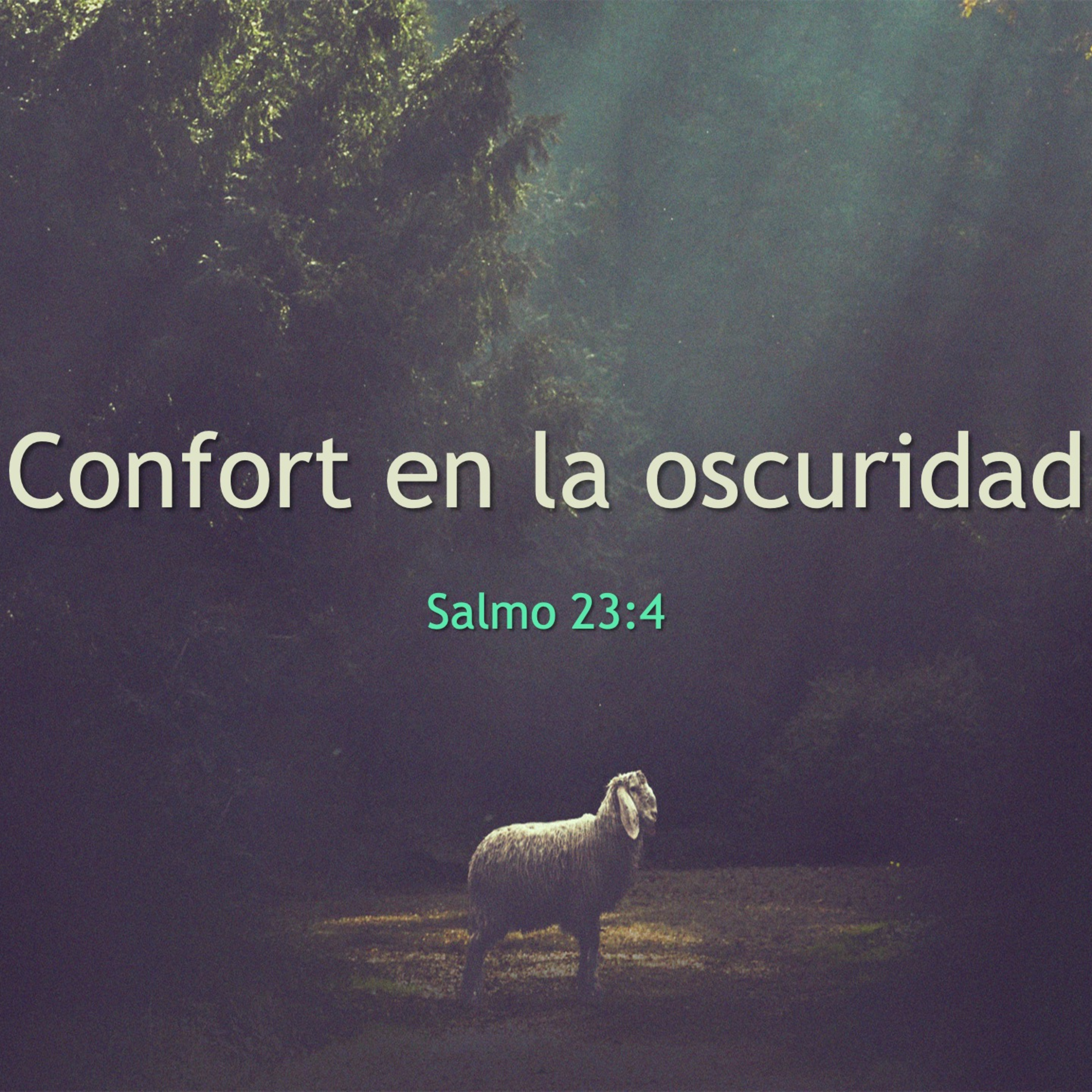 Cordero De Dios