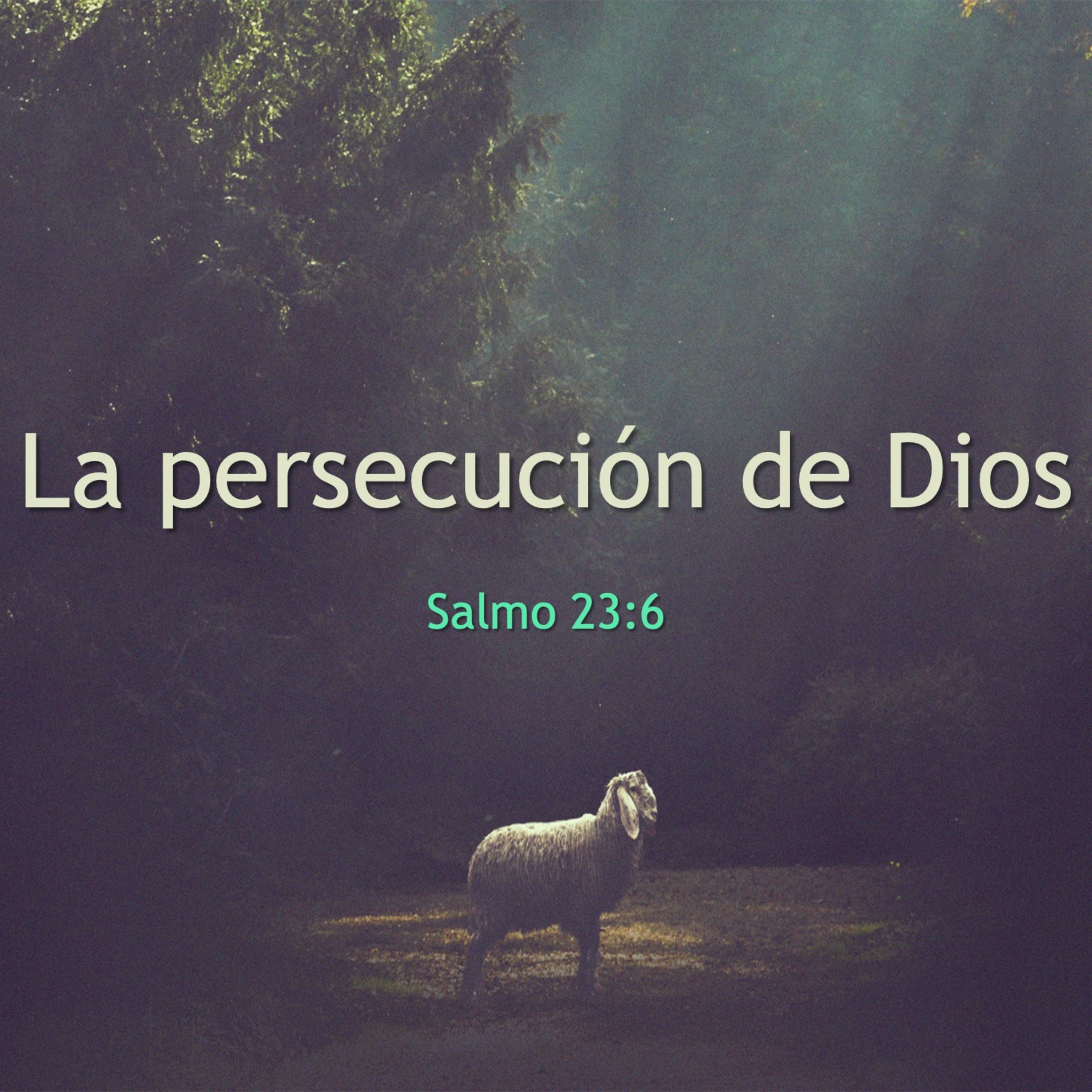 Cordero De Dios