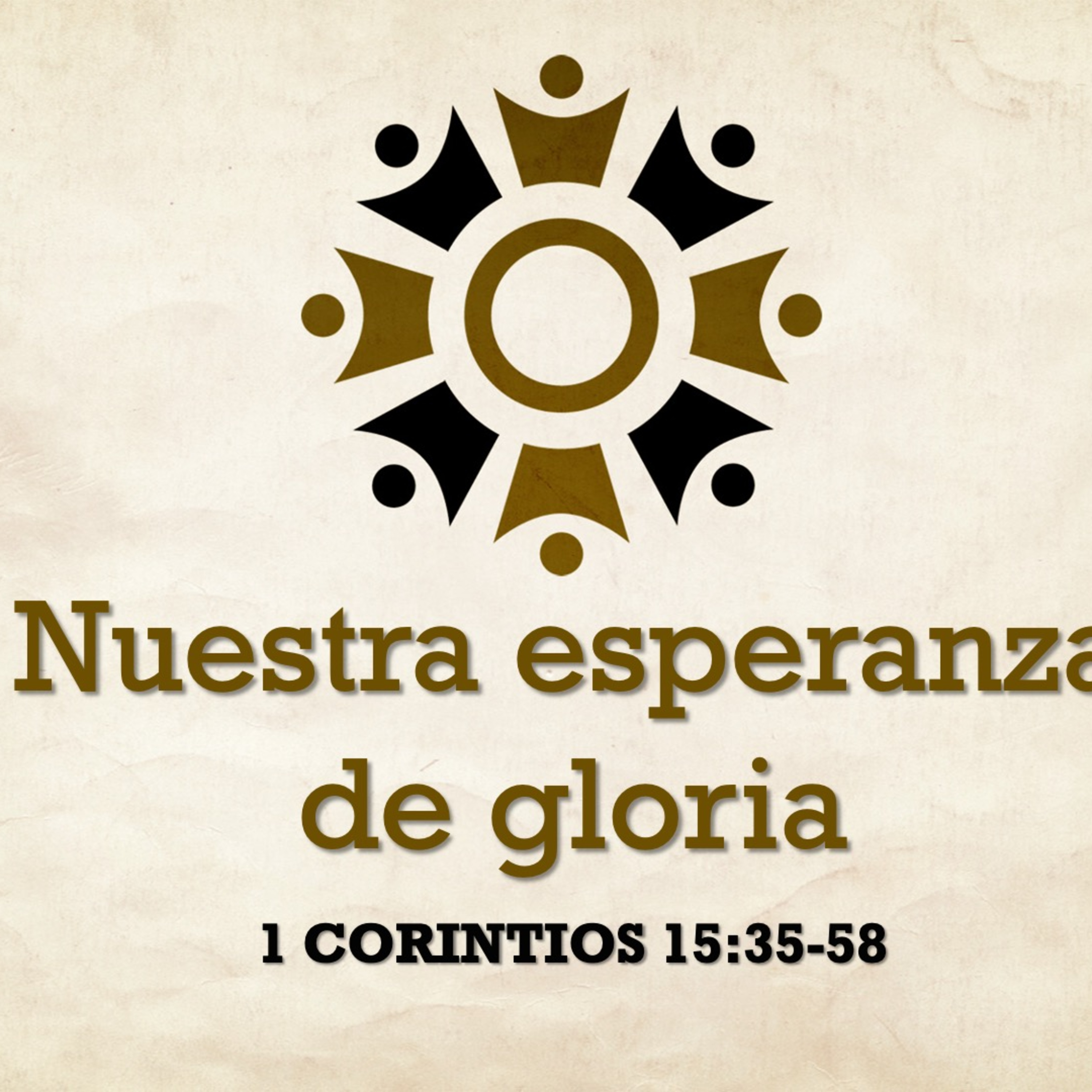 Cordero De Dios