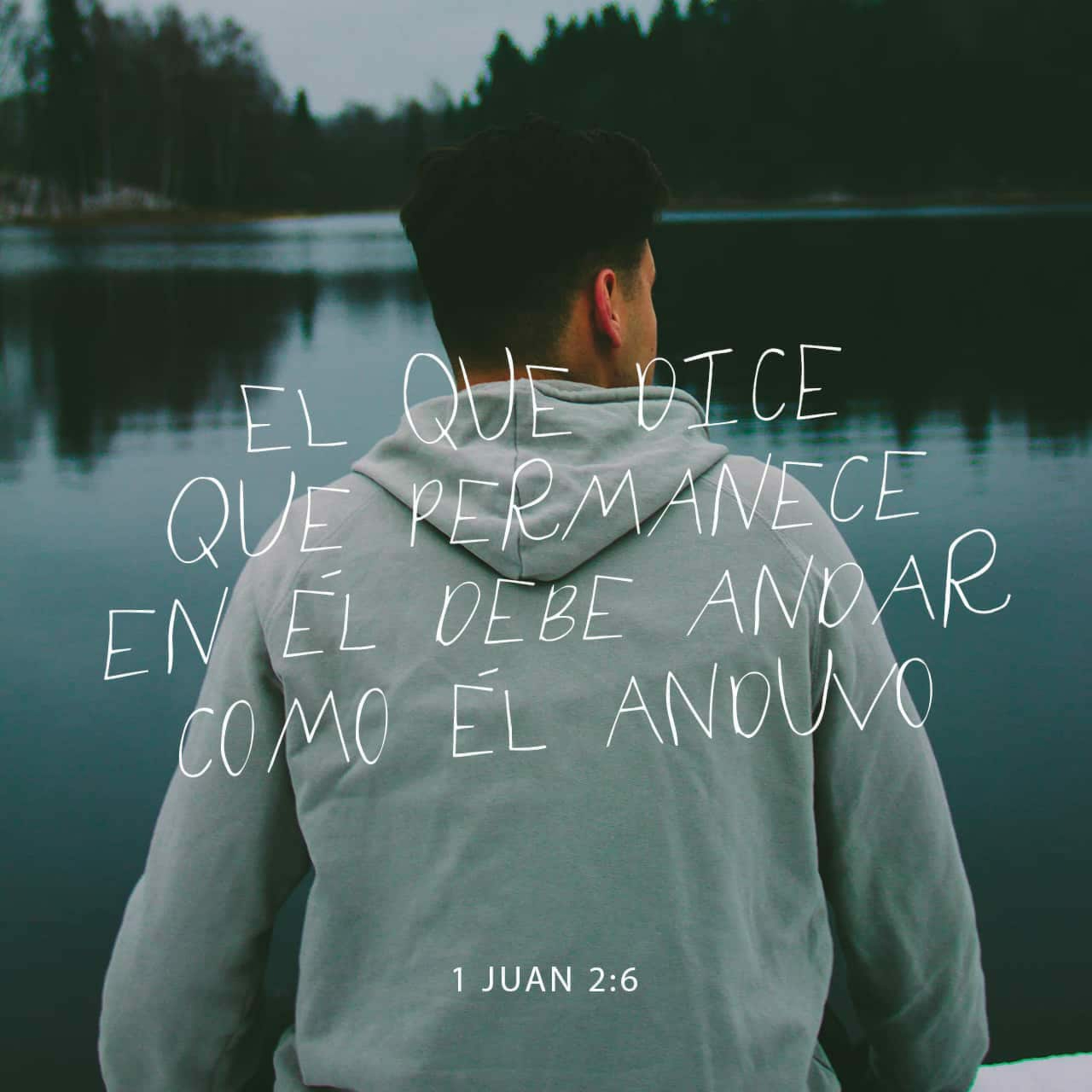 ¿Cuáles son las características de la palabra de Dios?