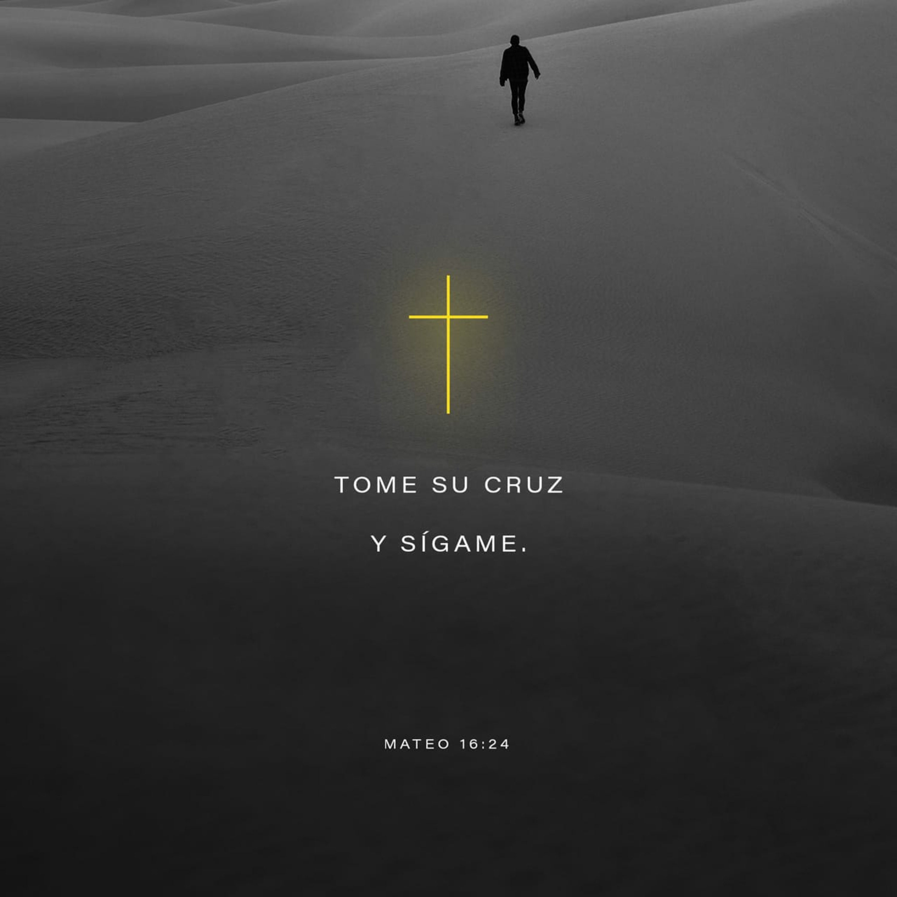 ¿Qué significa llevar la cruz? ¿Qué implicación tiene esto en la vida de los creyentes? episode artwork