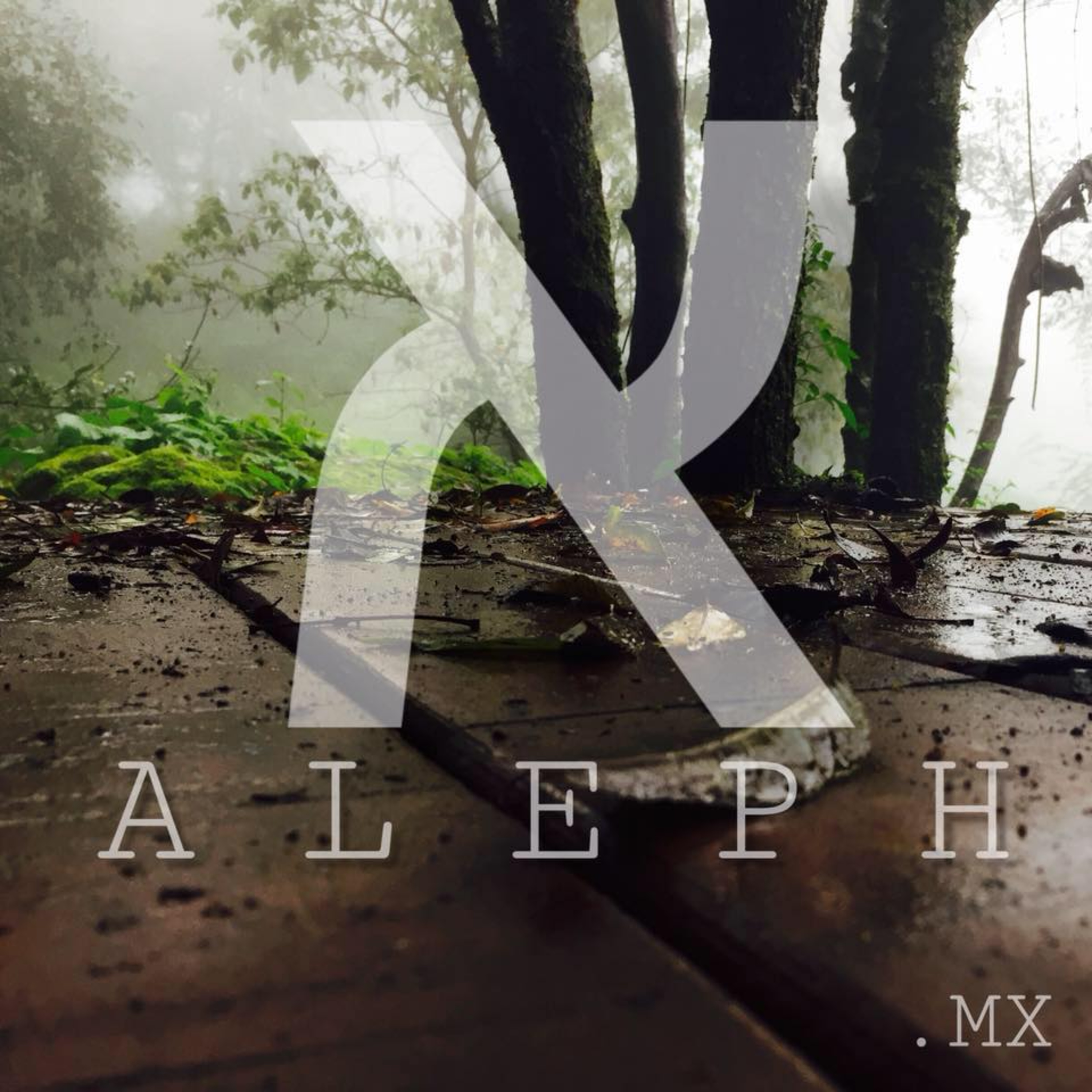 ALEPH PUNTO MX