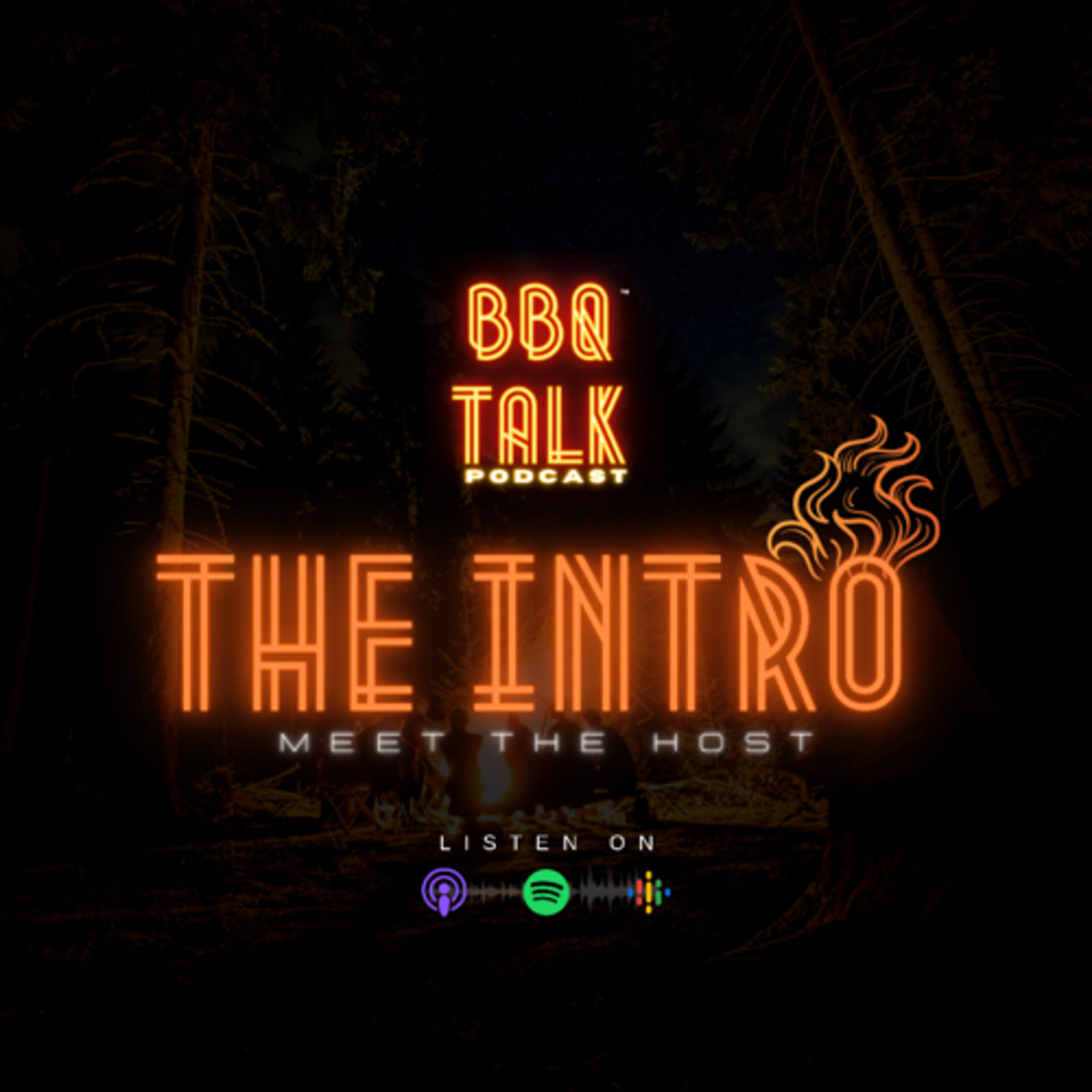 THE INTRO episode artwork