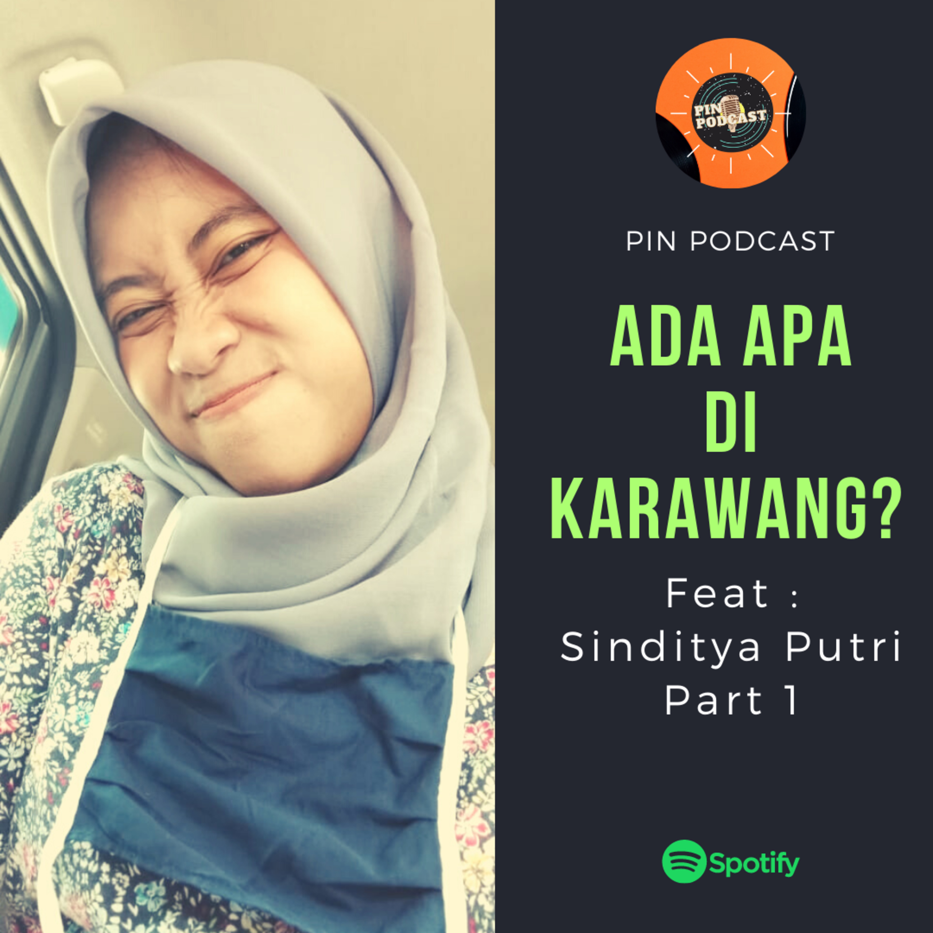 PIN Podcast