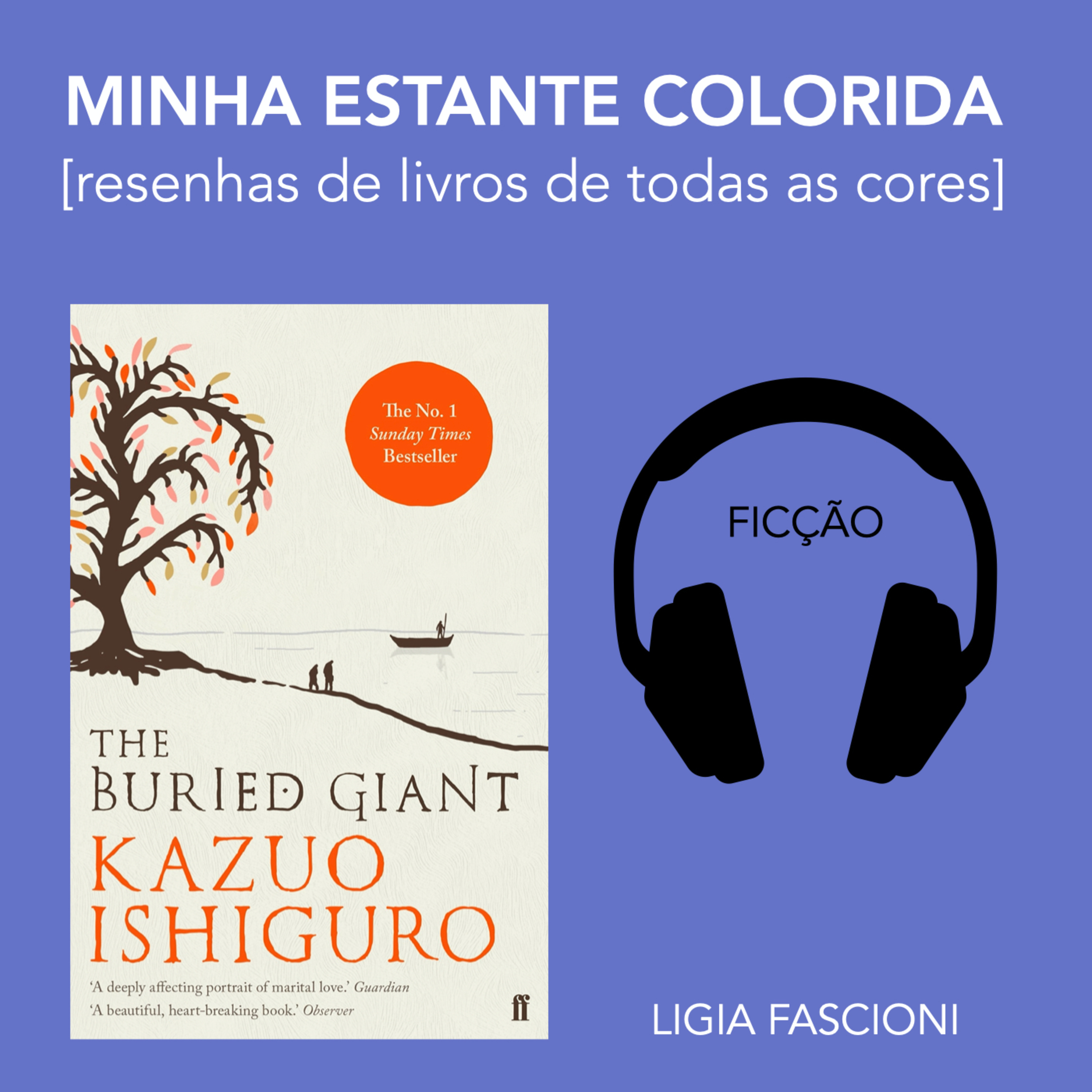 Minha Estante Colorida