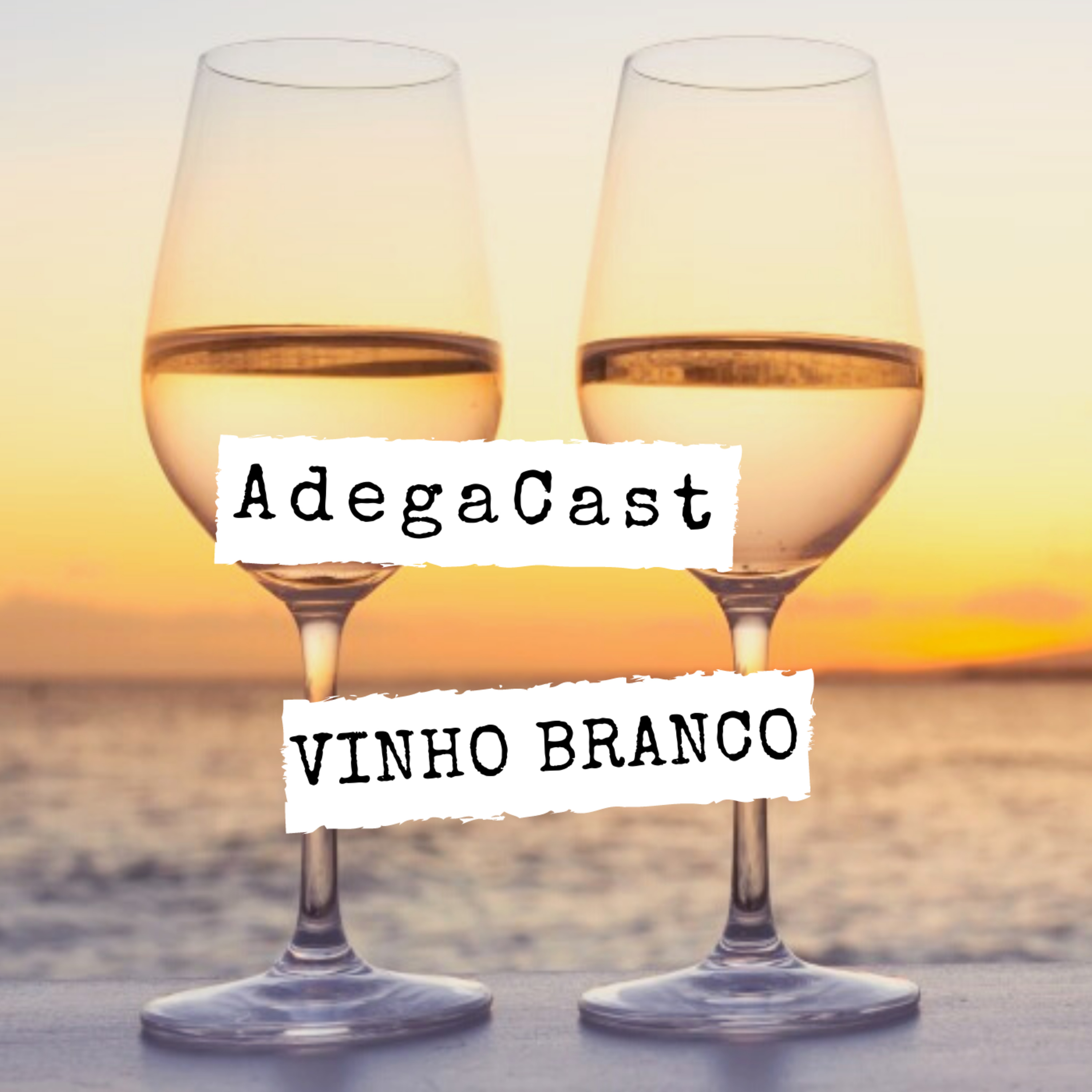 AdegaCast: Vinhos Malbec, Carménère, Pinot Noir, Syrah, Tannat, Cabernet Sauvignon, Merlot e mais!