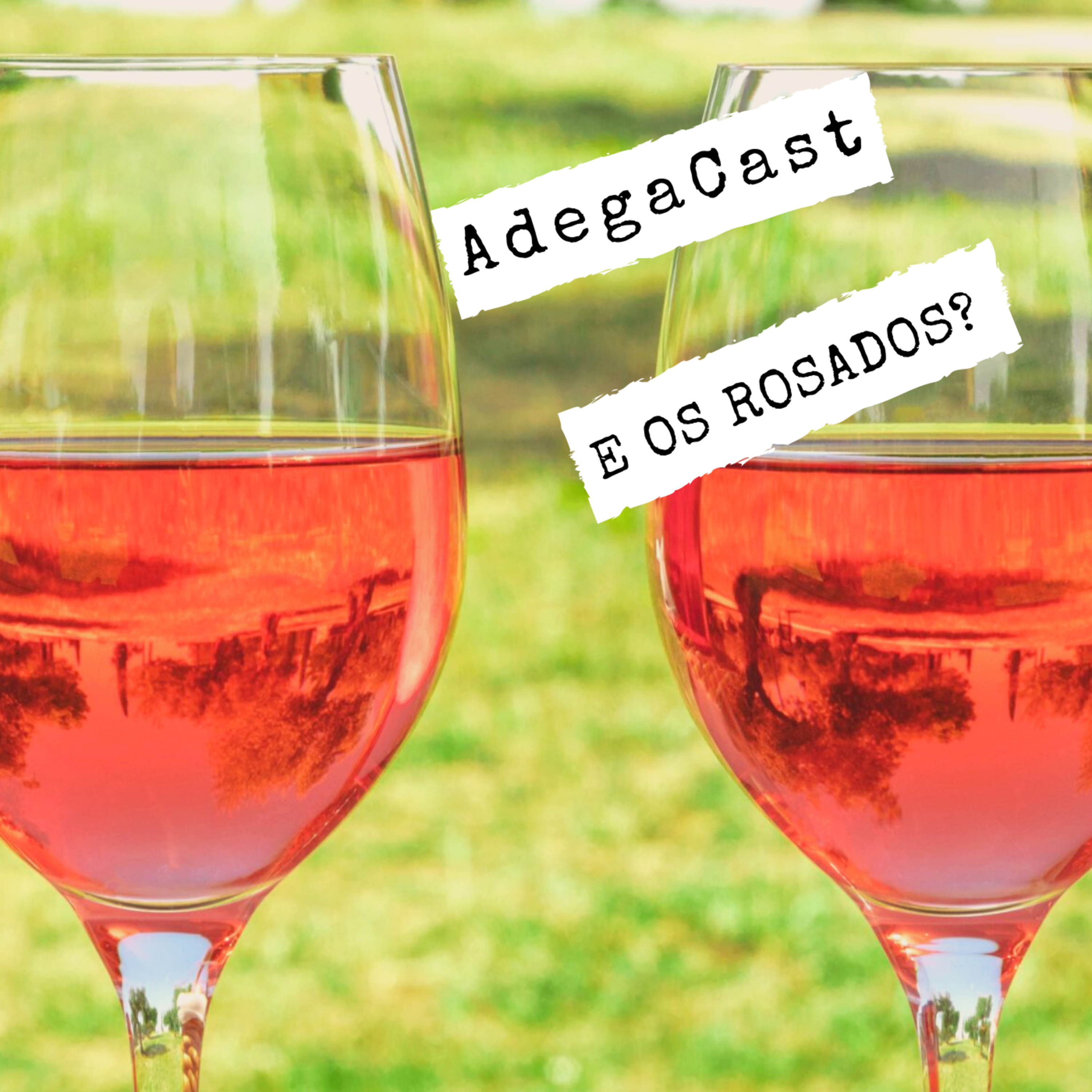 AdegaCast: Vinhos Malbec, Carménère, Pinot Noir, Syrah, Tannat, Cabernet Sauvignon, Merlot e mais!