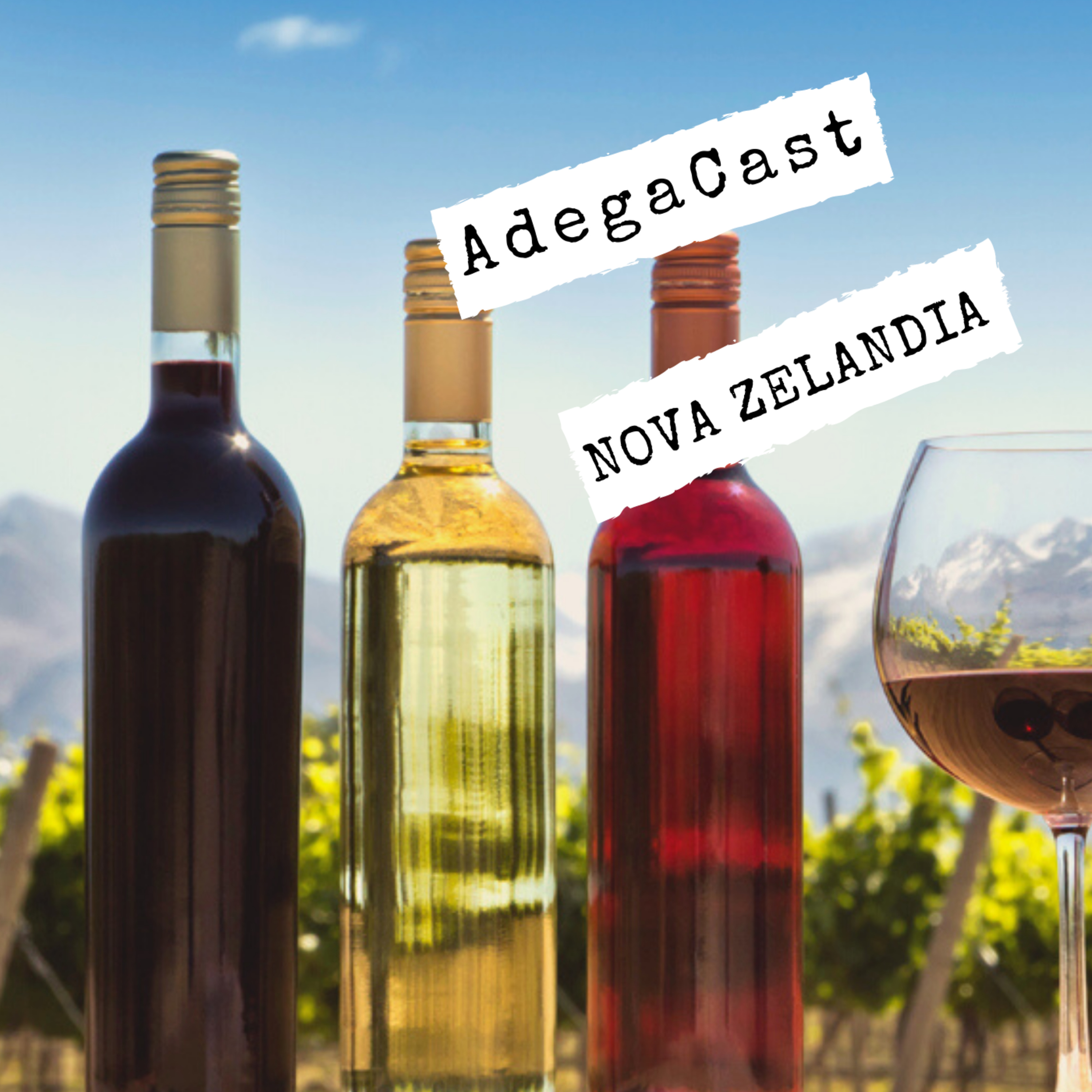 AdegaCast: Vinhos Malbec, Carménère, Pinot Noir, Syrah, Tannat, Cabernet Sauvignon, Merlot e mais!