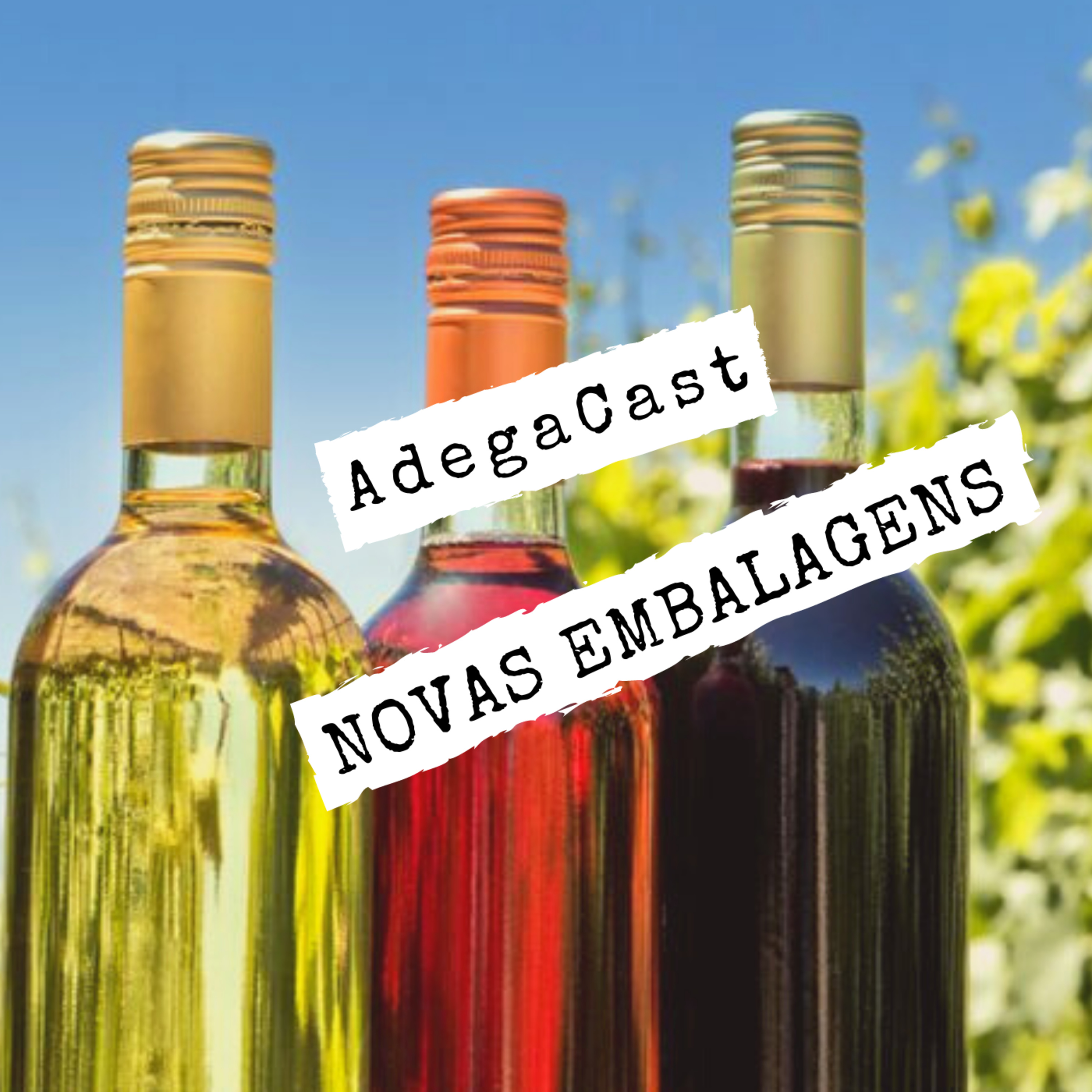 AdegaCast: Vinhos Malbec, Carménère, Pinot Noir, Syrah, Tannat, Cabernet Sauvignon, Merlot e mais!