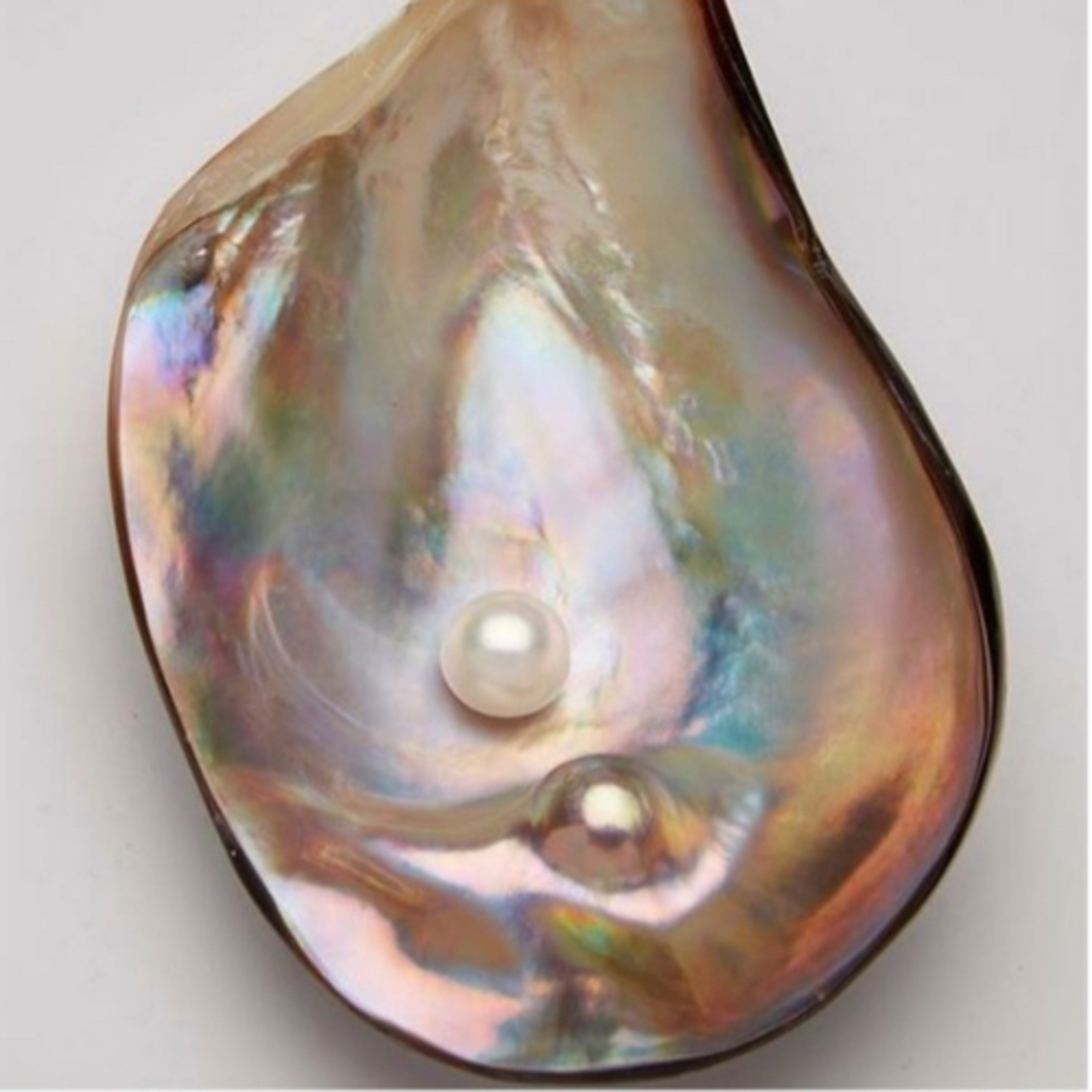 pHaeriesRReal