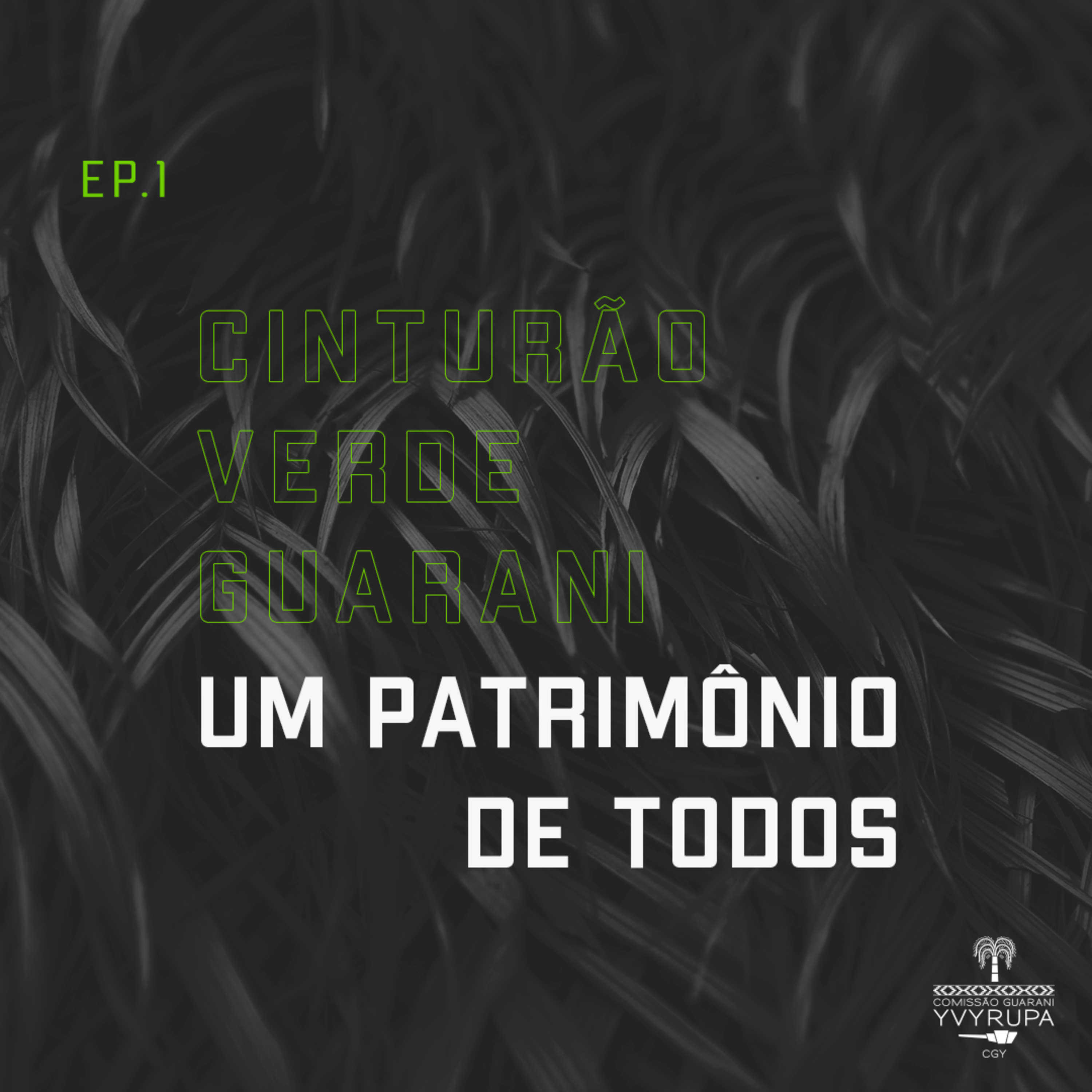 Um patrimônio de todos episode artwork