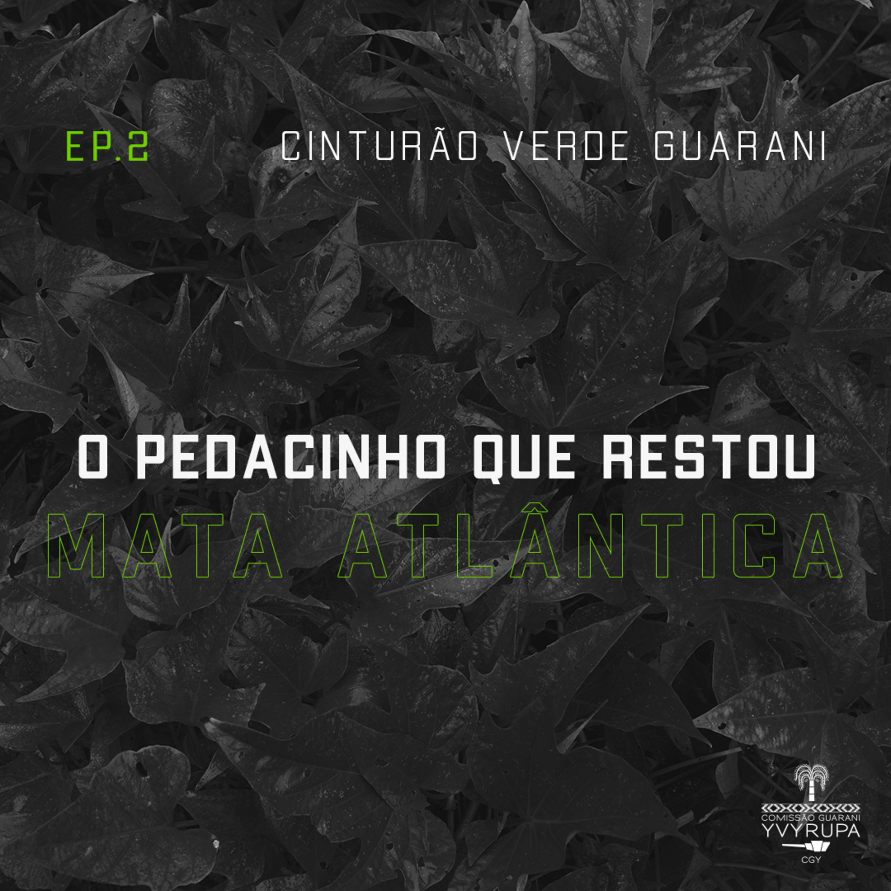O pedacinho que restou da Mata Atlântica episode artwork