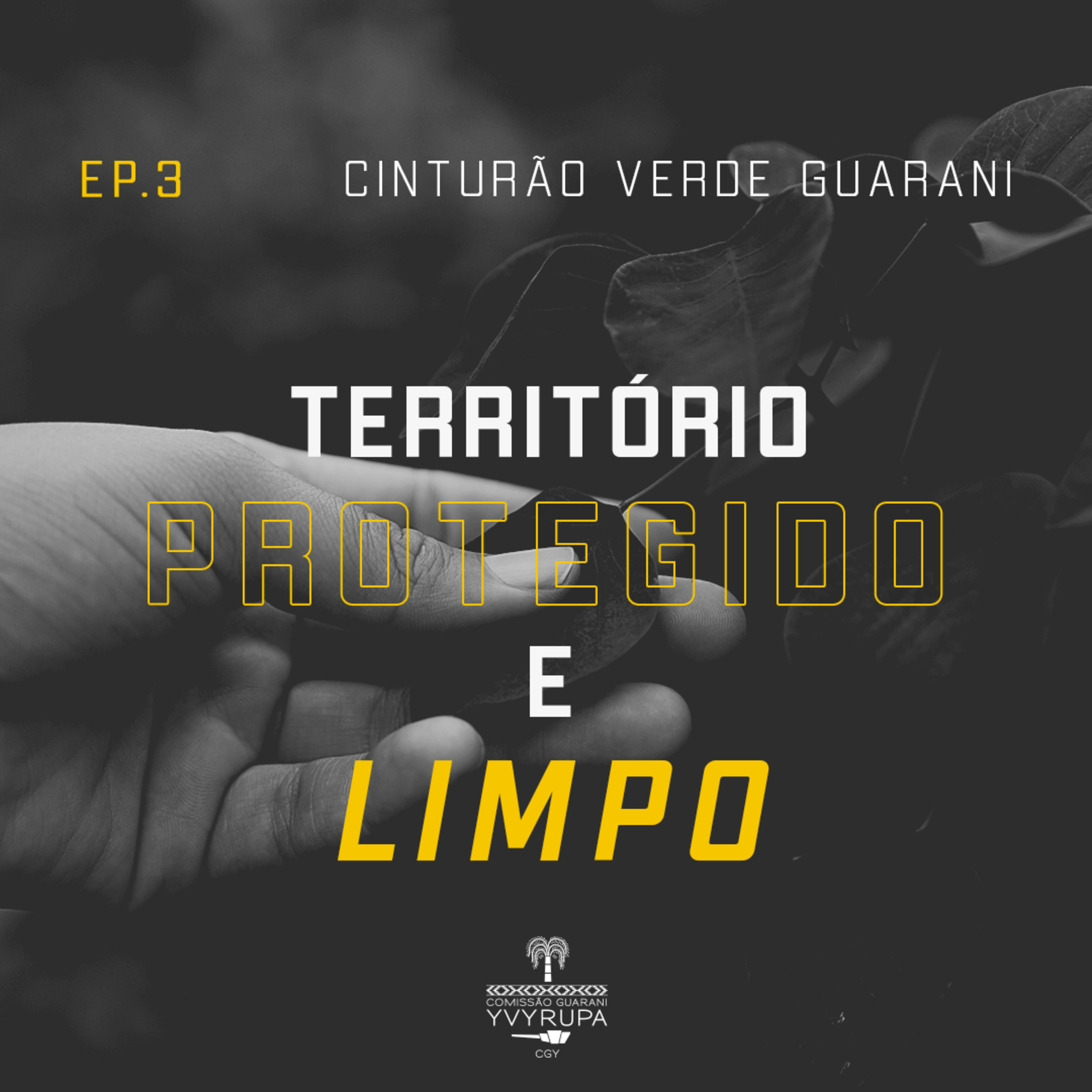 Território protegido e limpo episode artwork