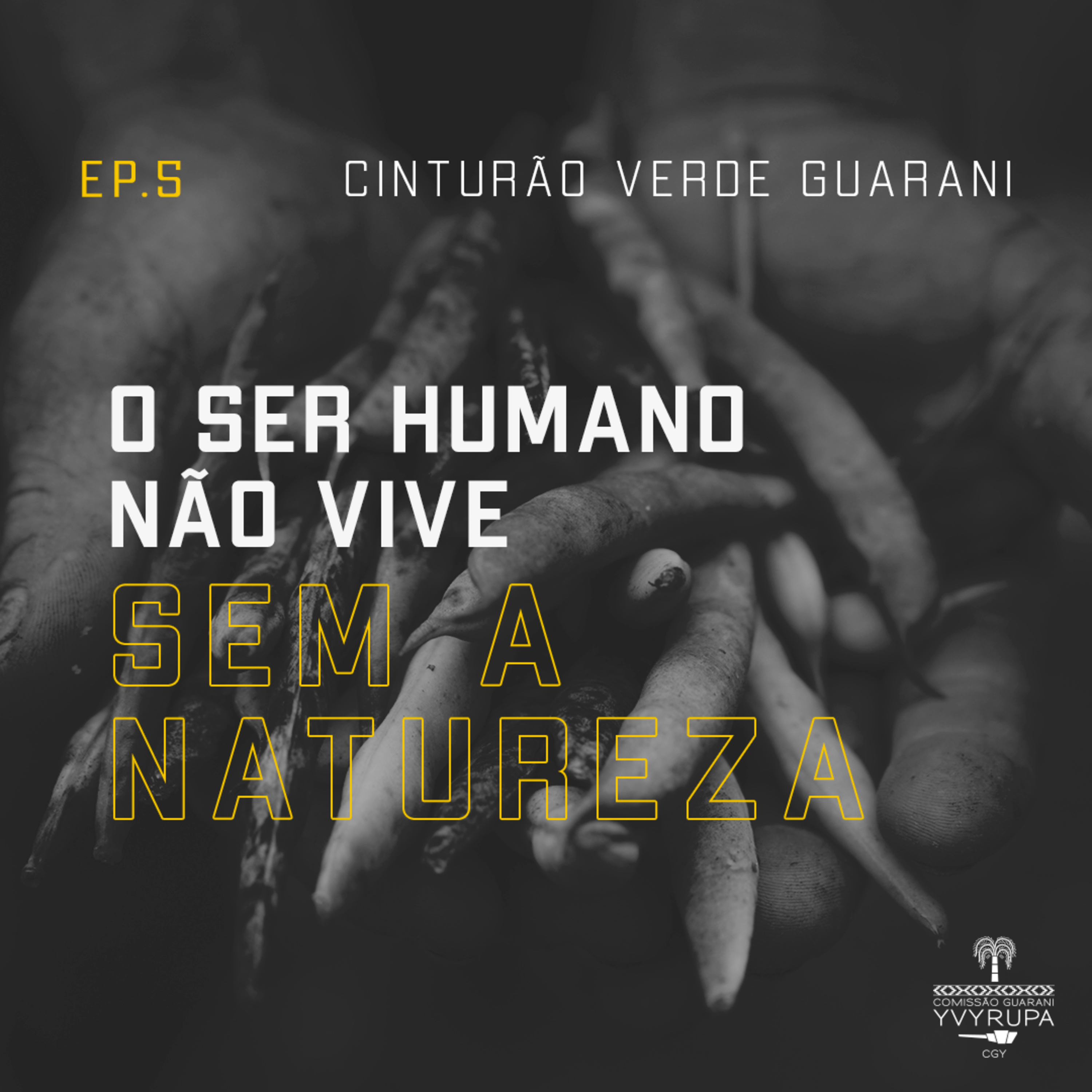 O ser humano não vive sem a natureza episode artwork