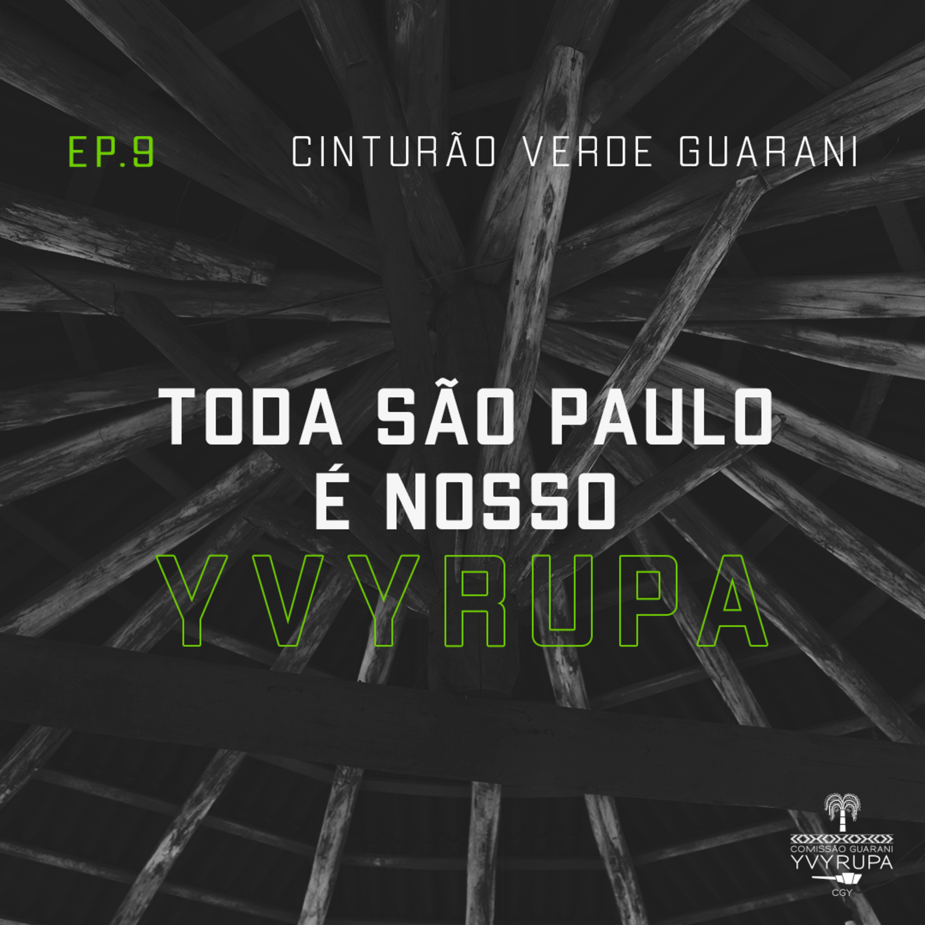 Toda São Paulo é nosso yvyrupa
