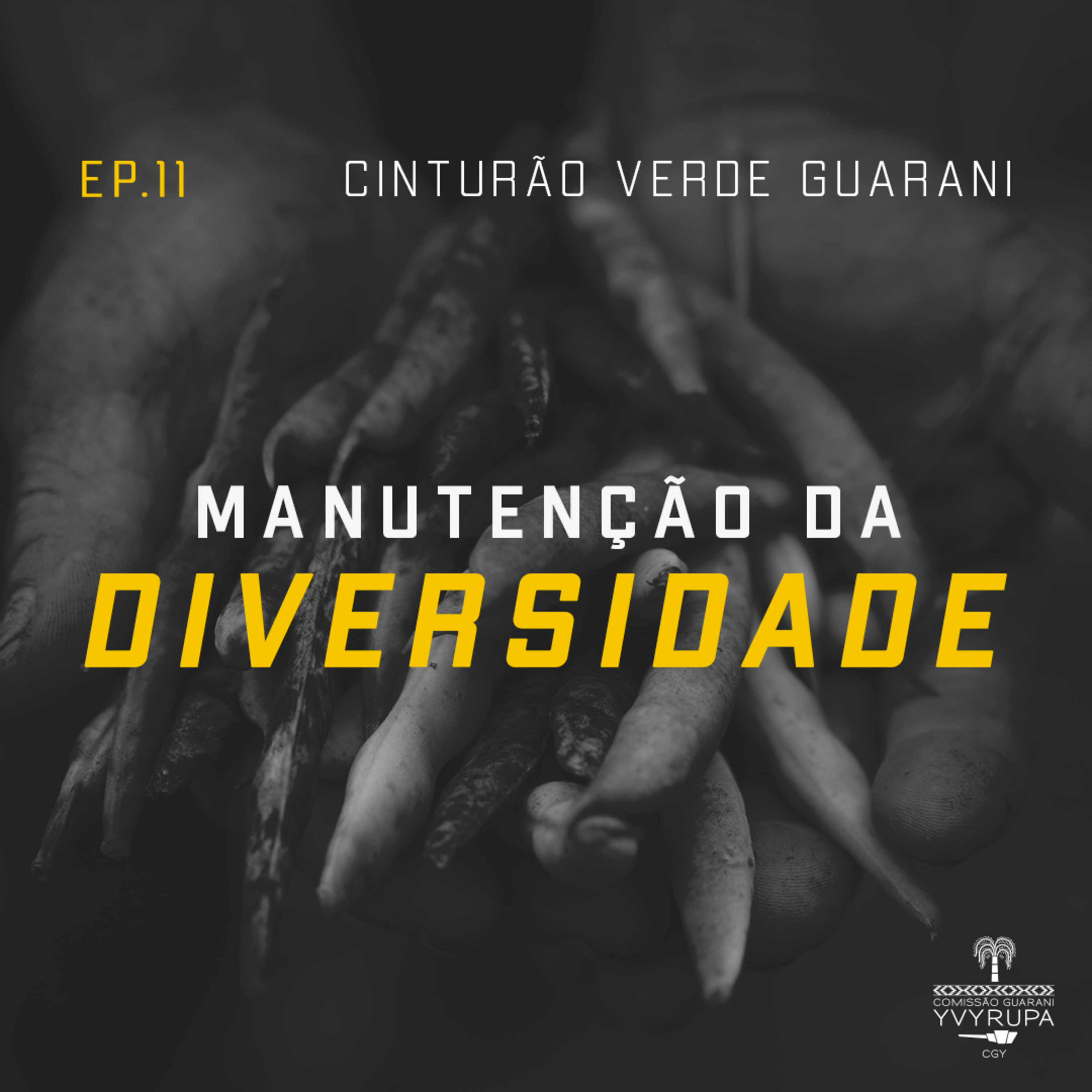Manutenção da diversidade episode artwork