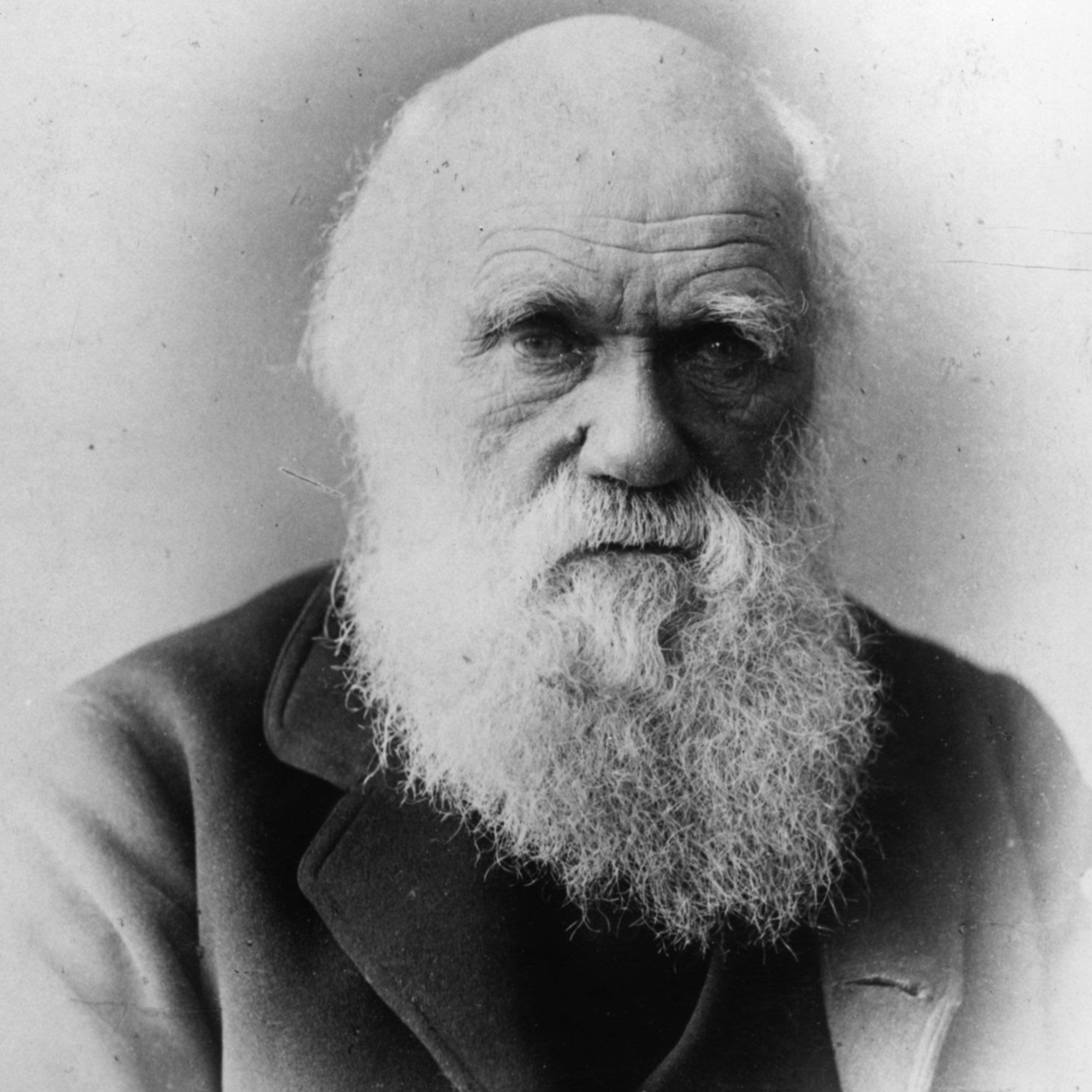 Charles Darwin y la evolución de los seres vivos episode artwork