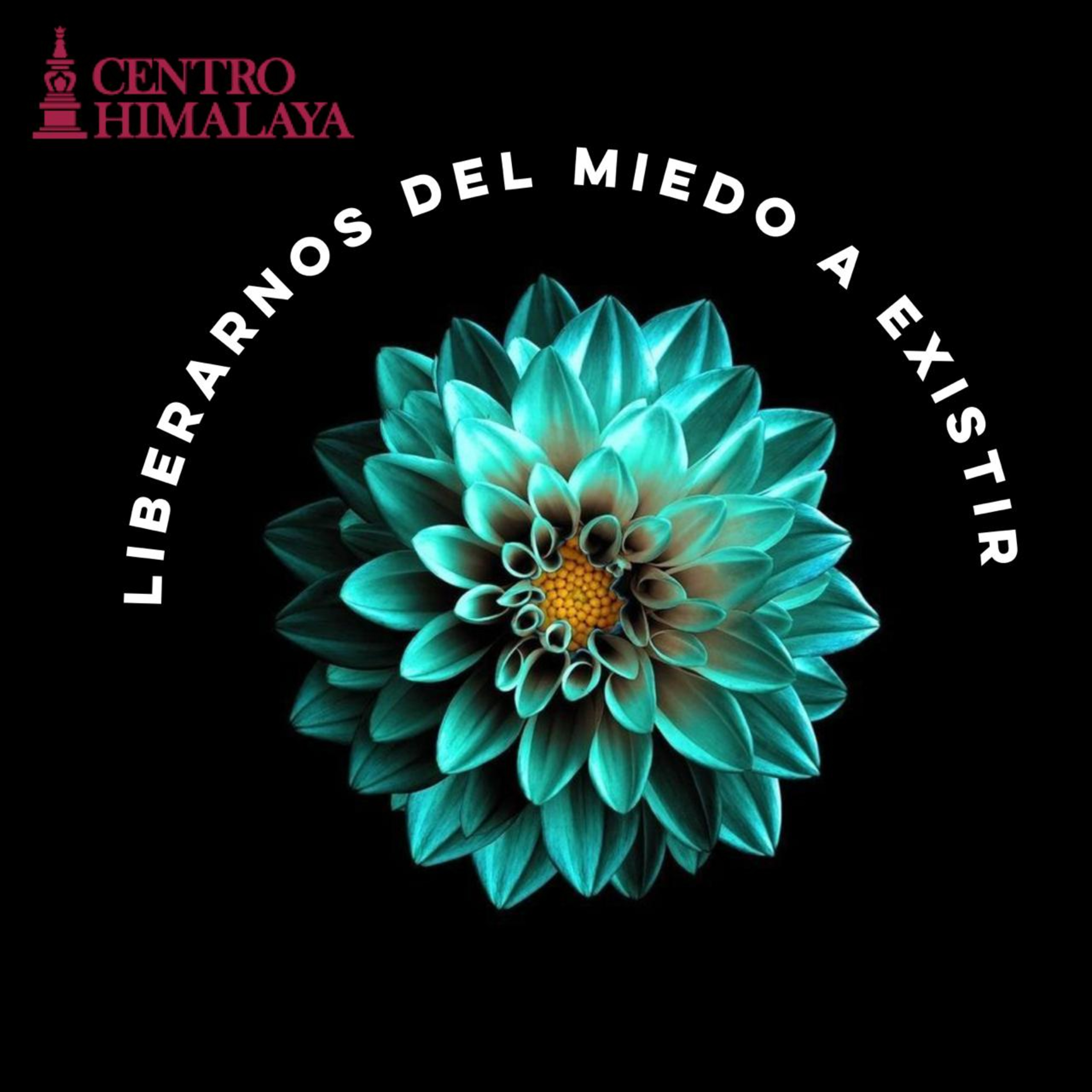 Liberarnos del Miedo a Existir episode artwork