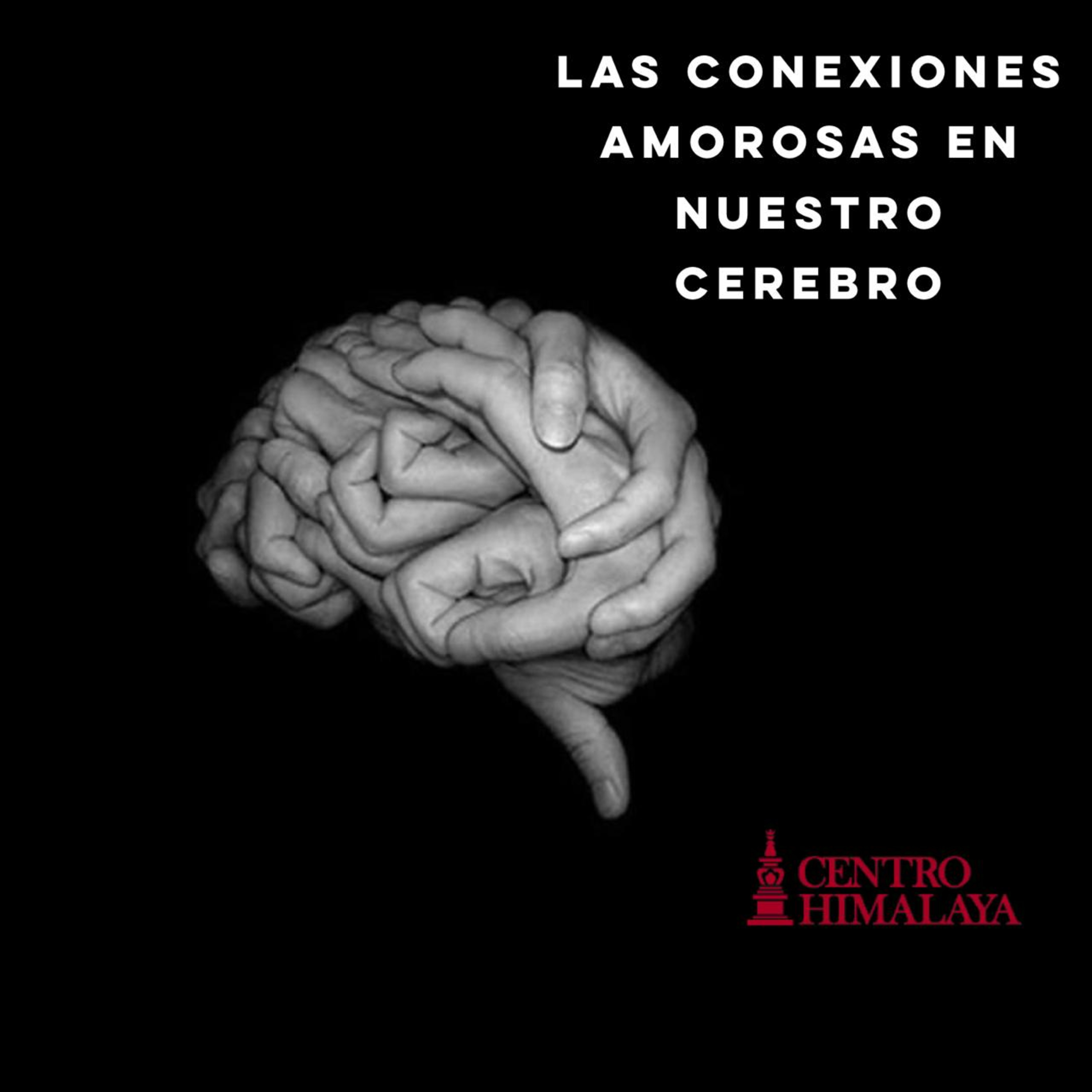 Las Conexiones Amorosas en Nuestro Cerebro  episode artwork