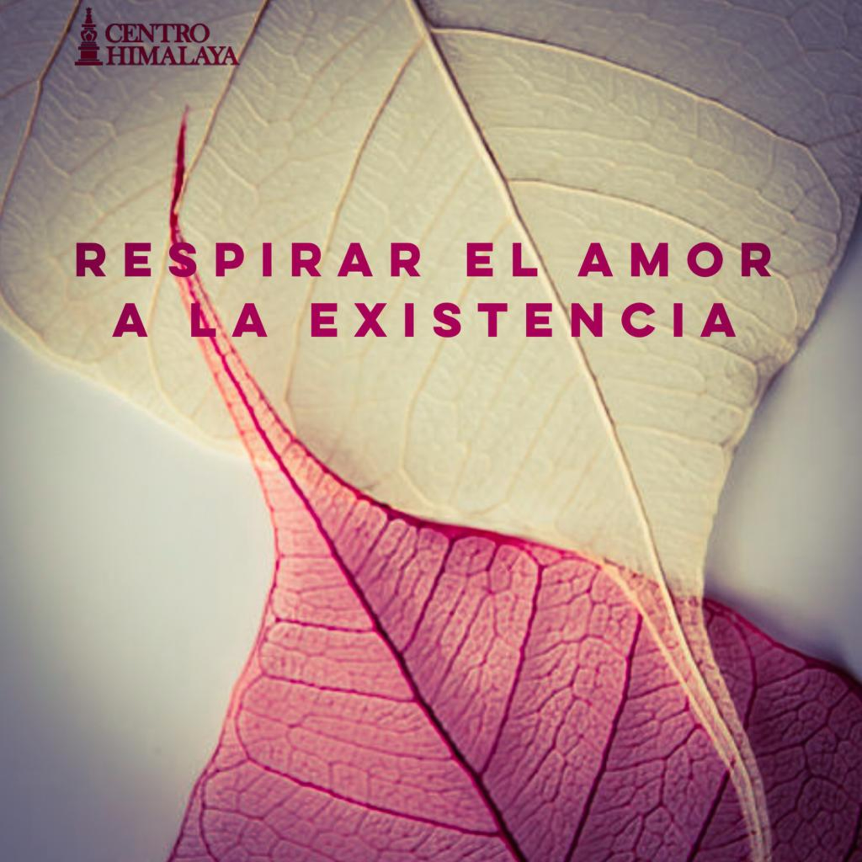 Respirar el Amor a la Existencia episode artwork