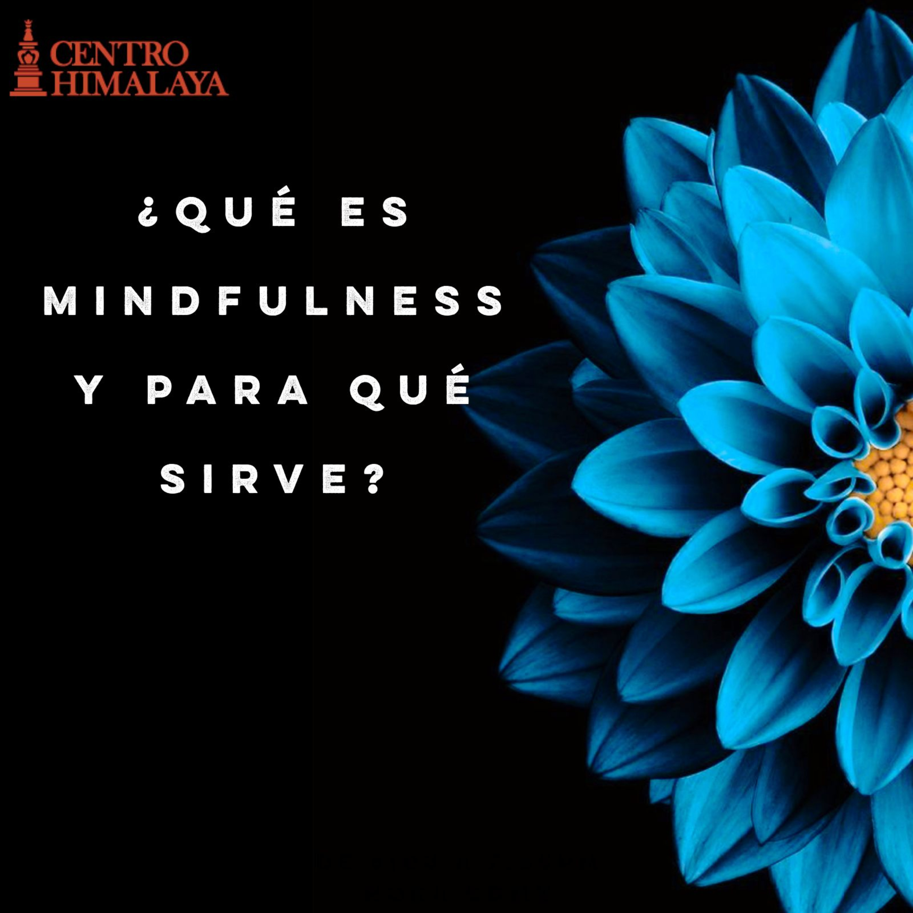 ¿Qué Es Mindfulness y Para Qué Sirve? episode artwork