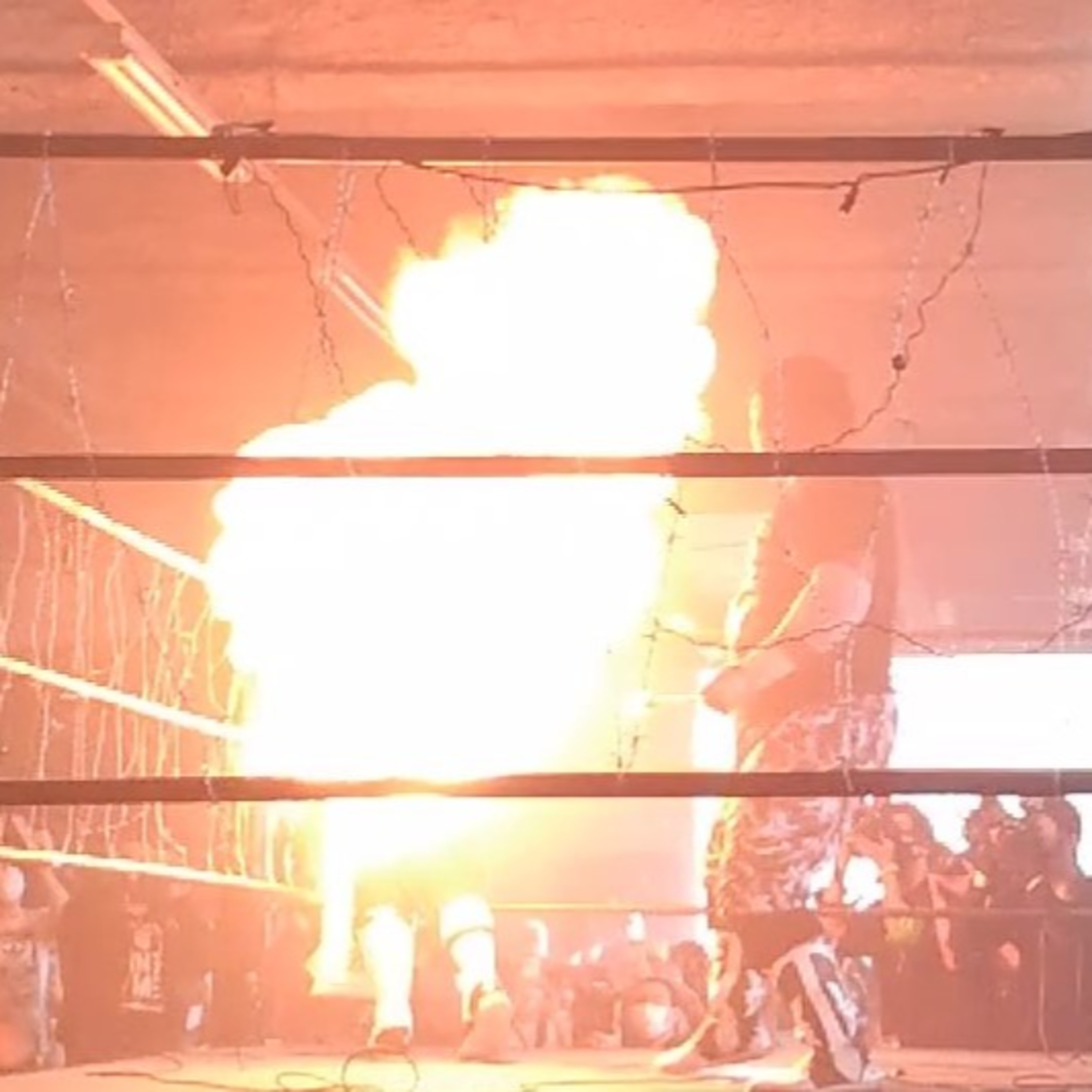 何を言ってもプロレスラーに燃やされるラジオ　 episode artwork