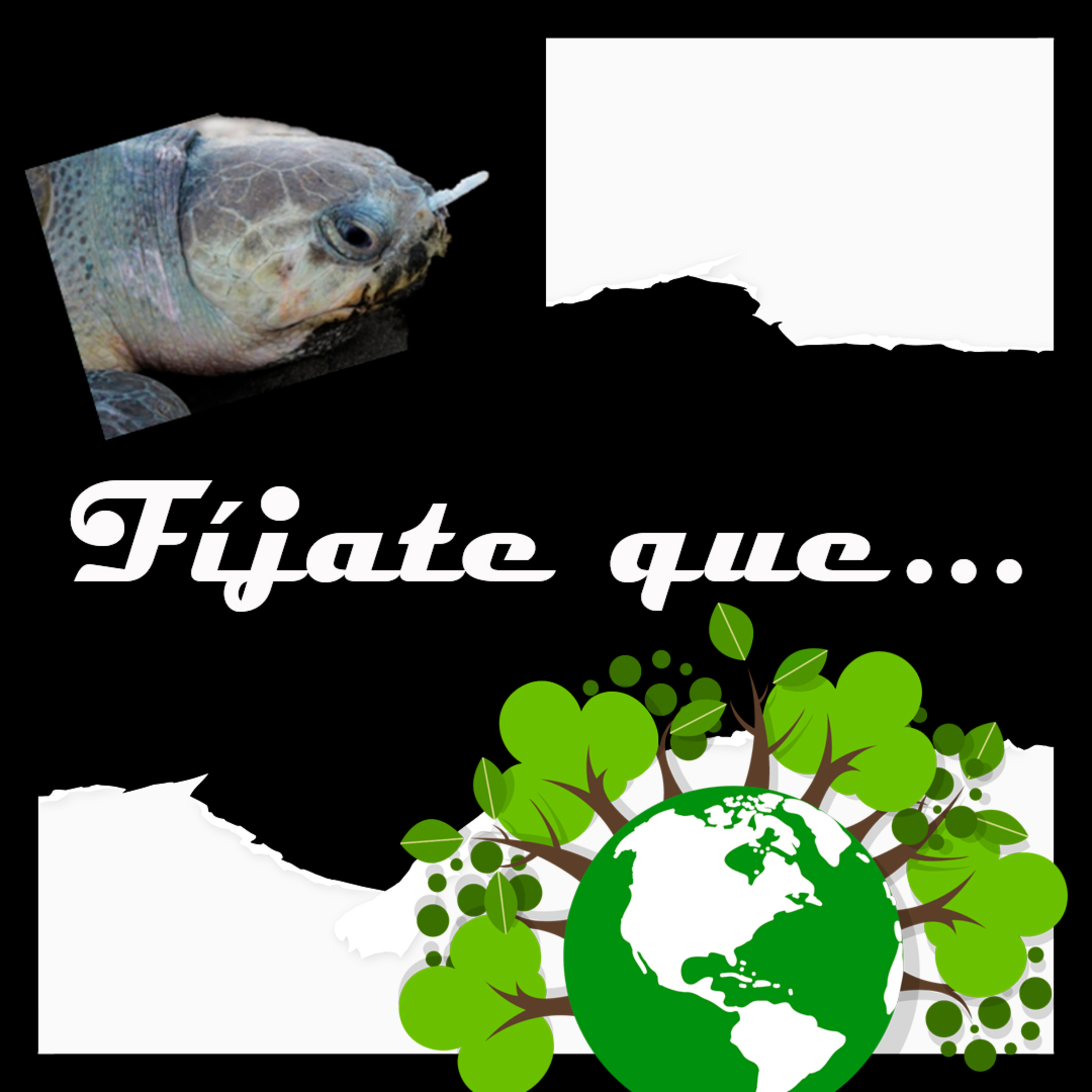 Fíjate que - E2 Medio ambiente episode artwork
