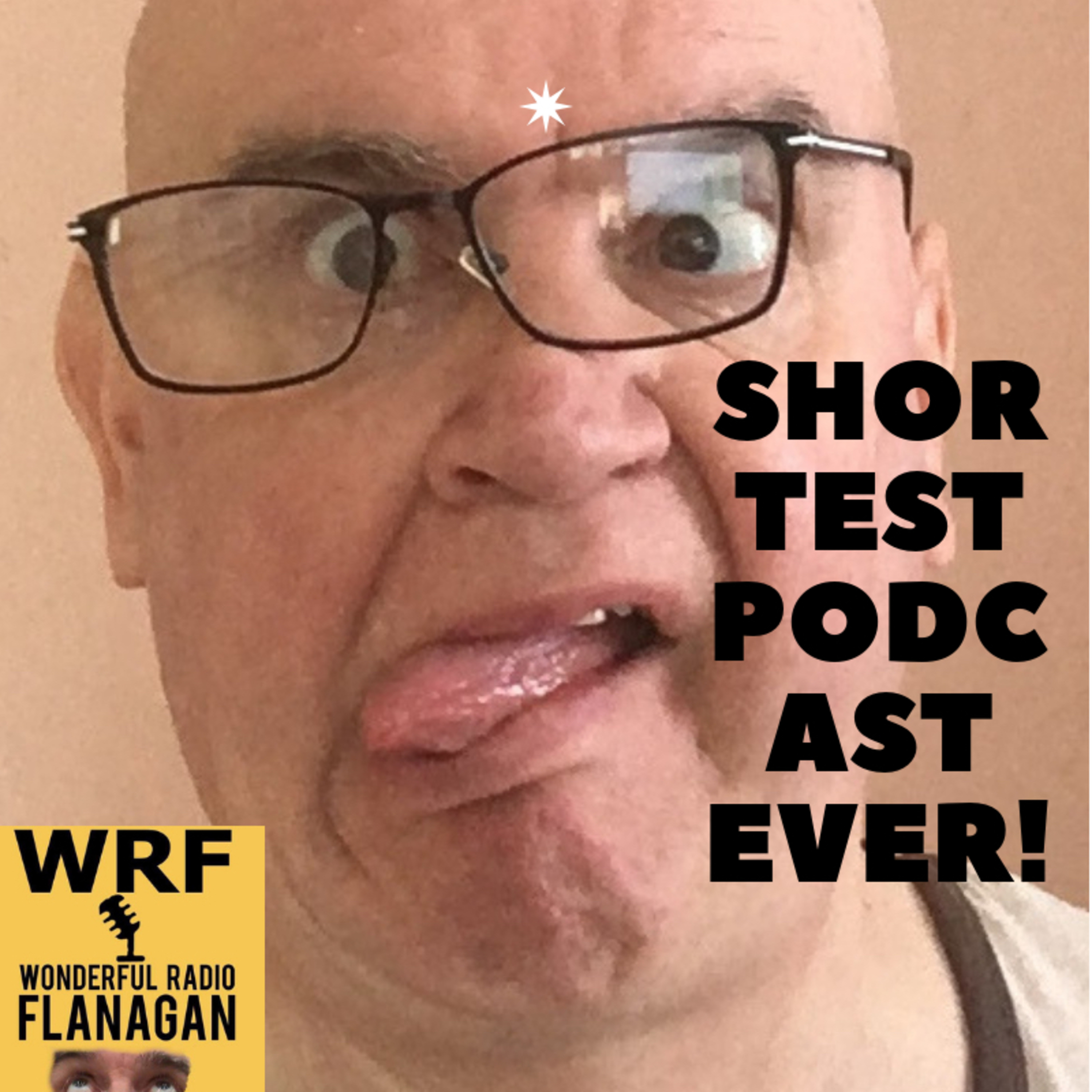 Shortest Podcast Ever! episode artwork