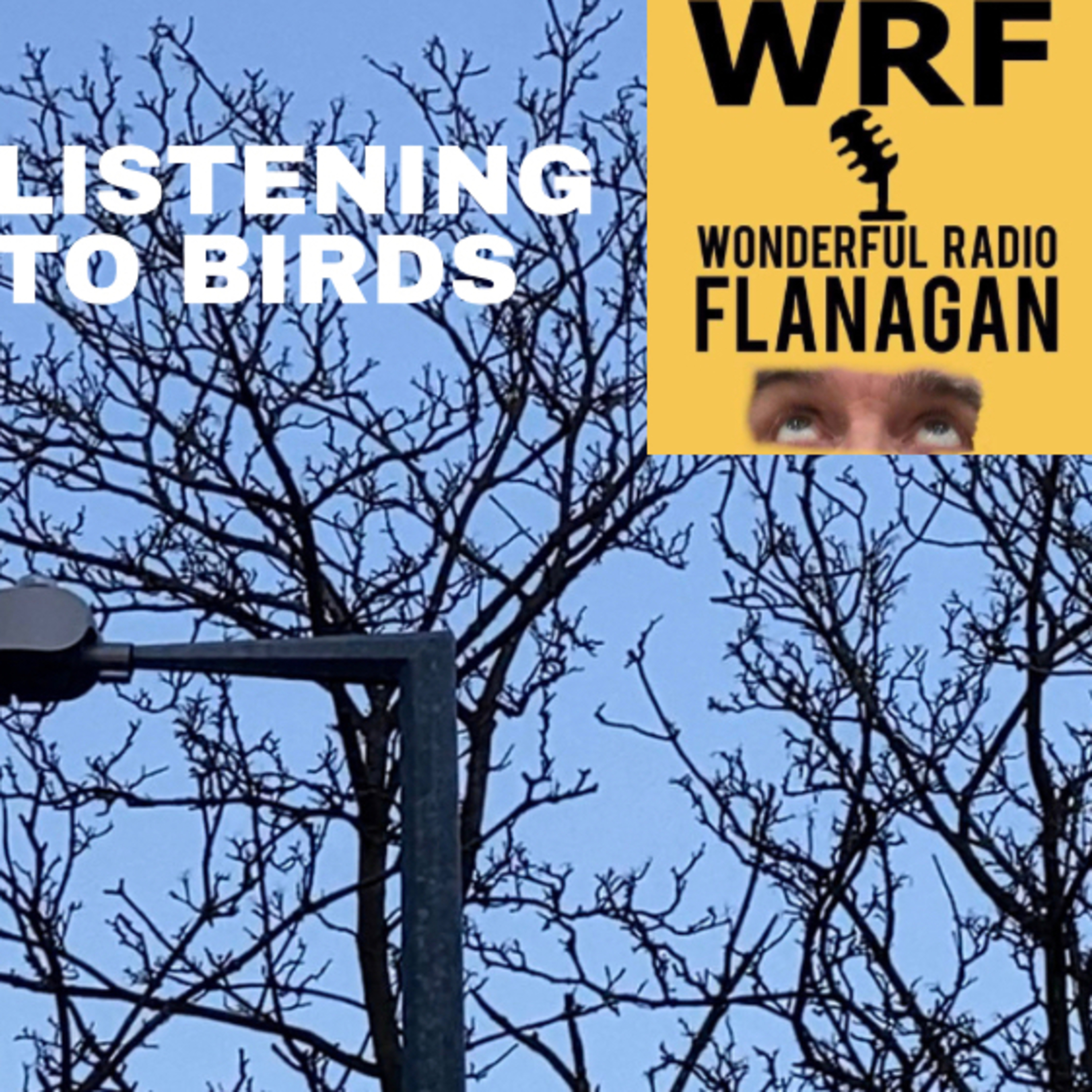 Wonderful Radio Flanagan