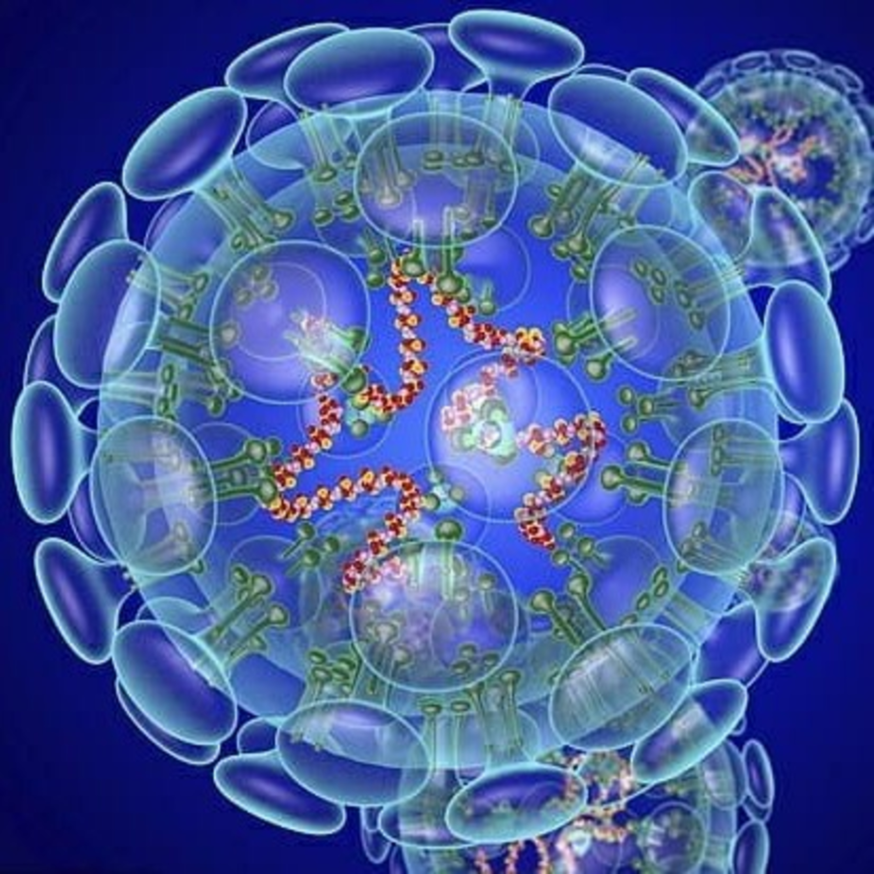 Ciências E Biologia