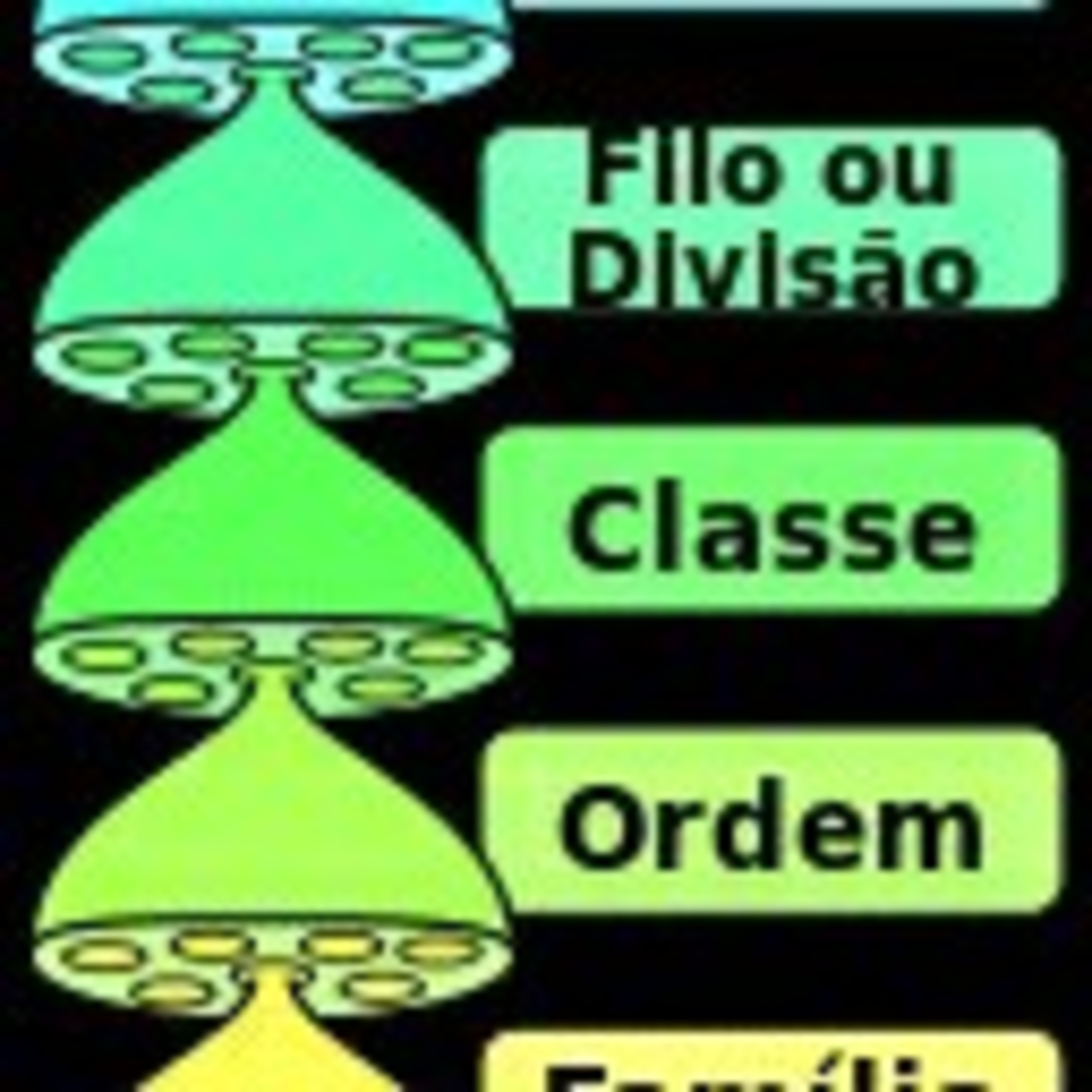 Ciências E Biologia
