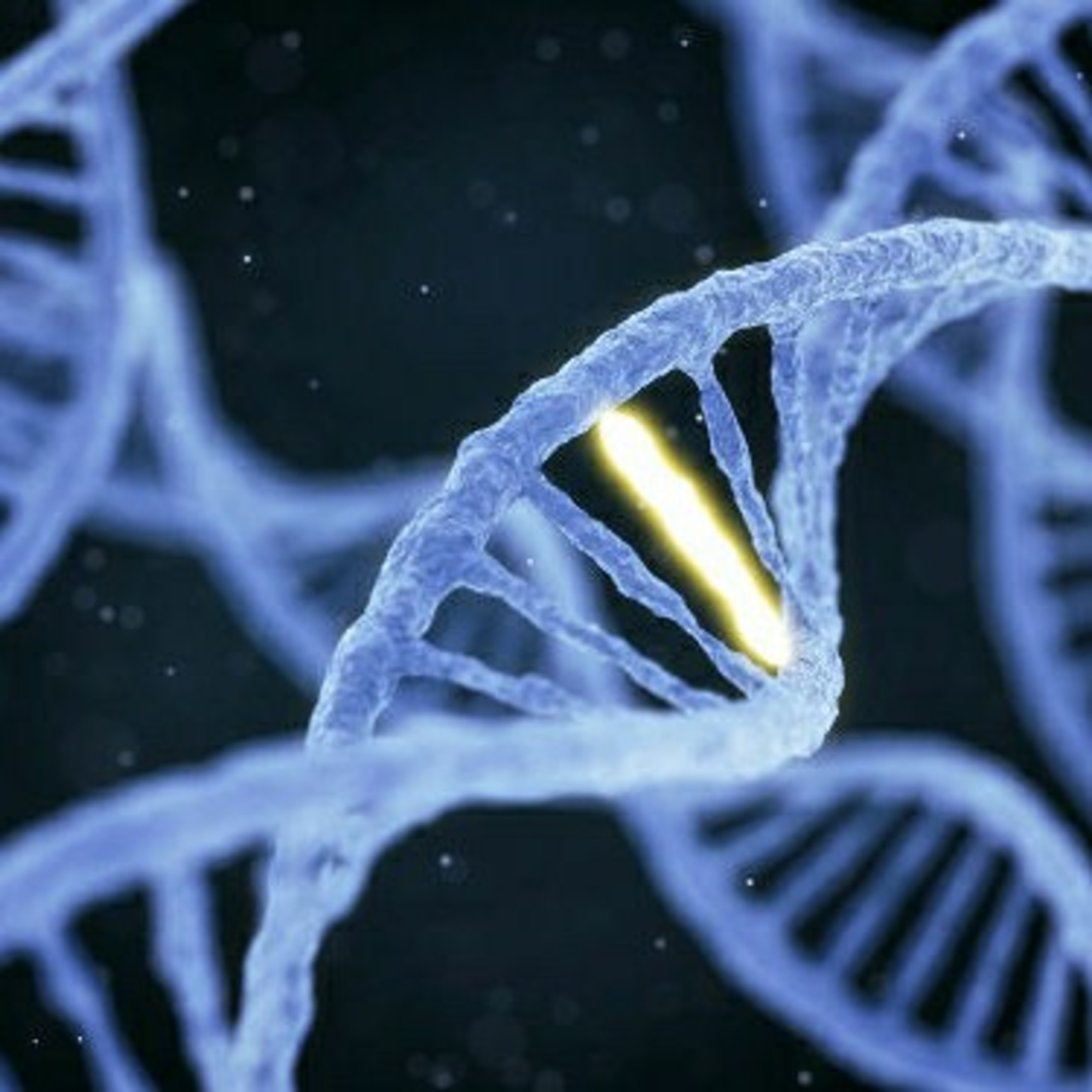 Ciências E Biologia