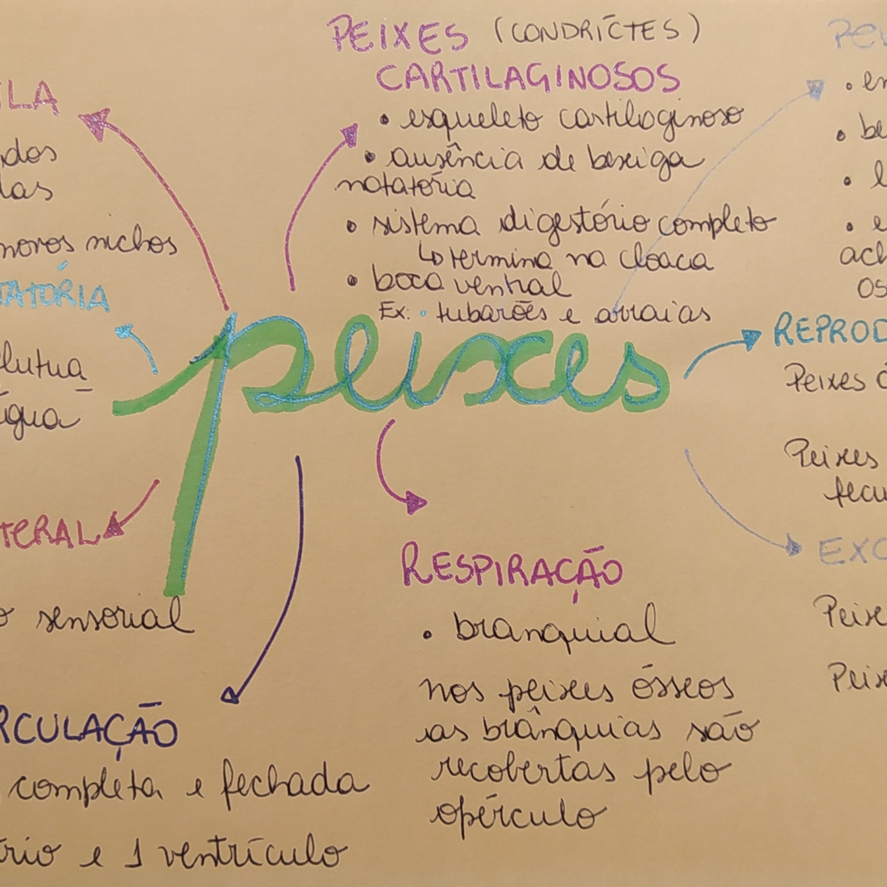 Ciências E Biologia