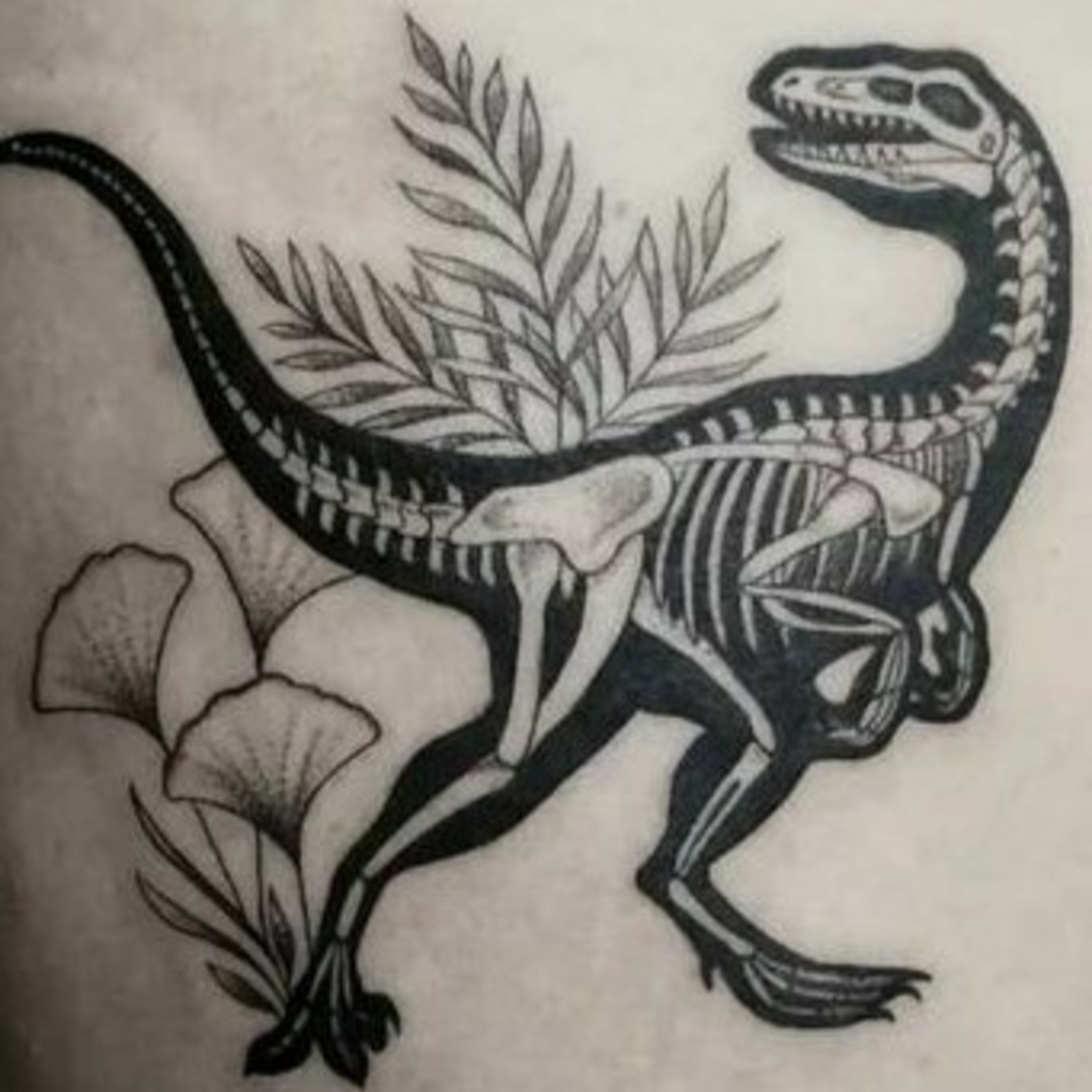 Ciências E Biologia