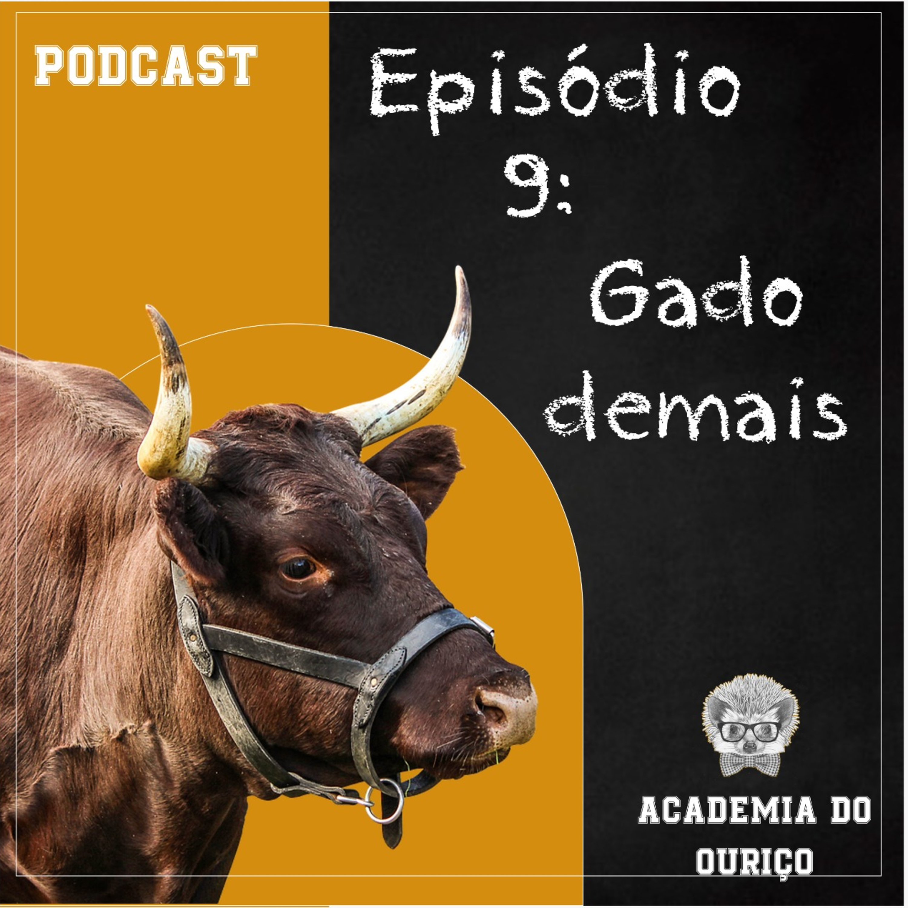 Academia do Ouriço