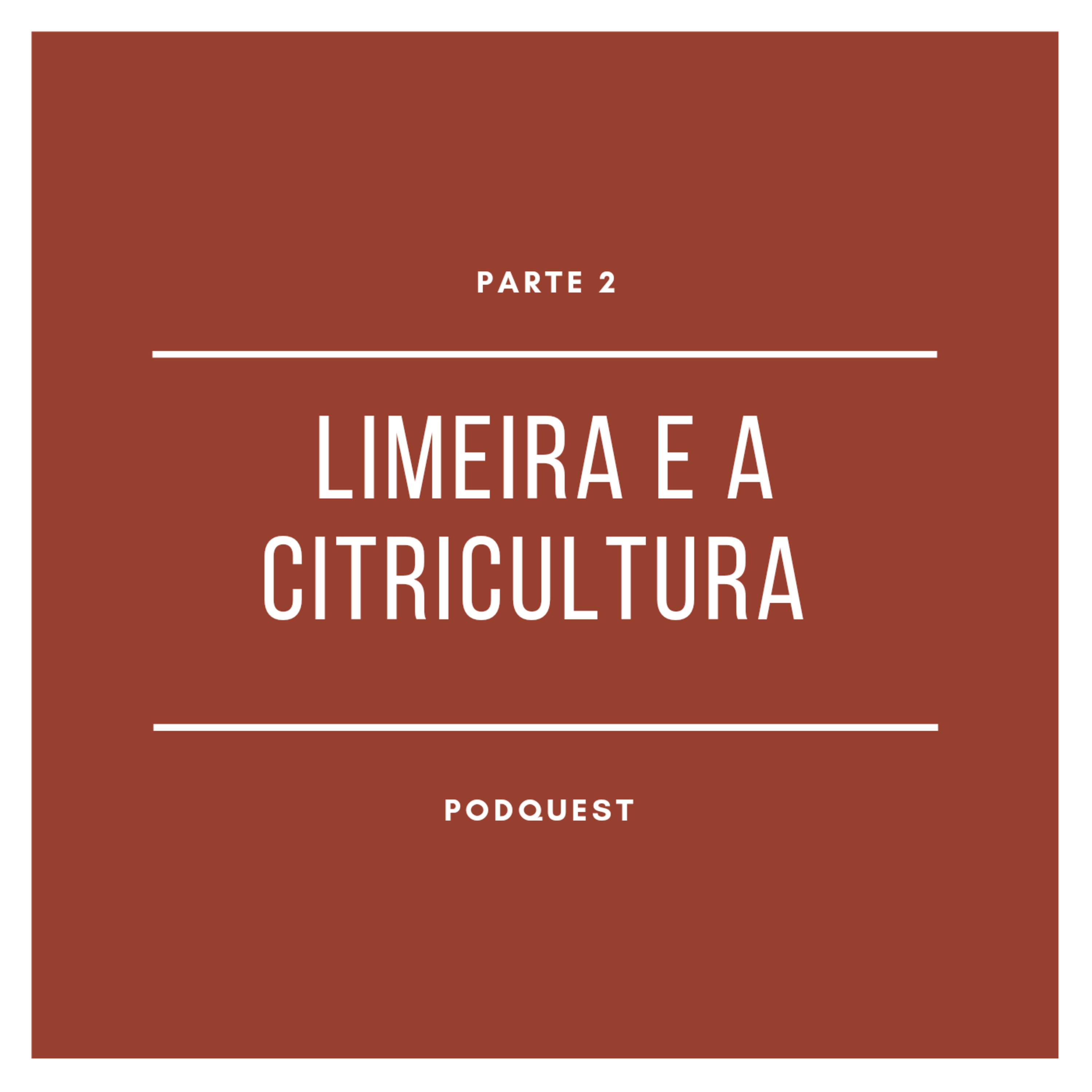 LIMEIRA UMA CIDADE ENTRE SÉCULOS