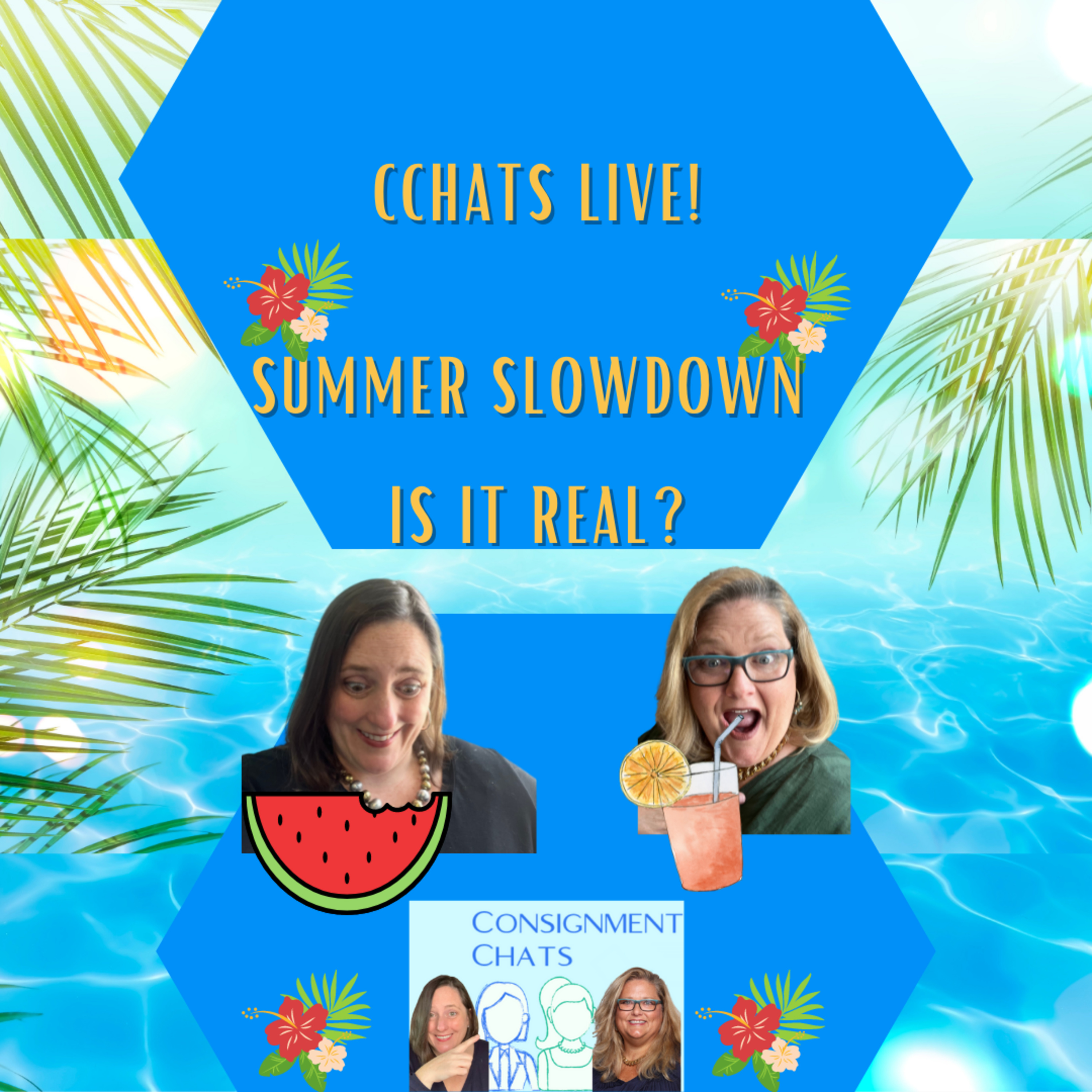 Episode 72. C Chats Live: Summer Slowdown for Resellers; Is it Real? Fact or Fiction (S2.E19) episode artwork