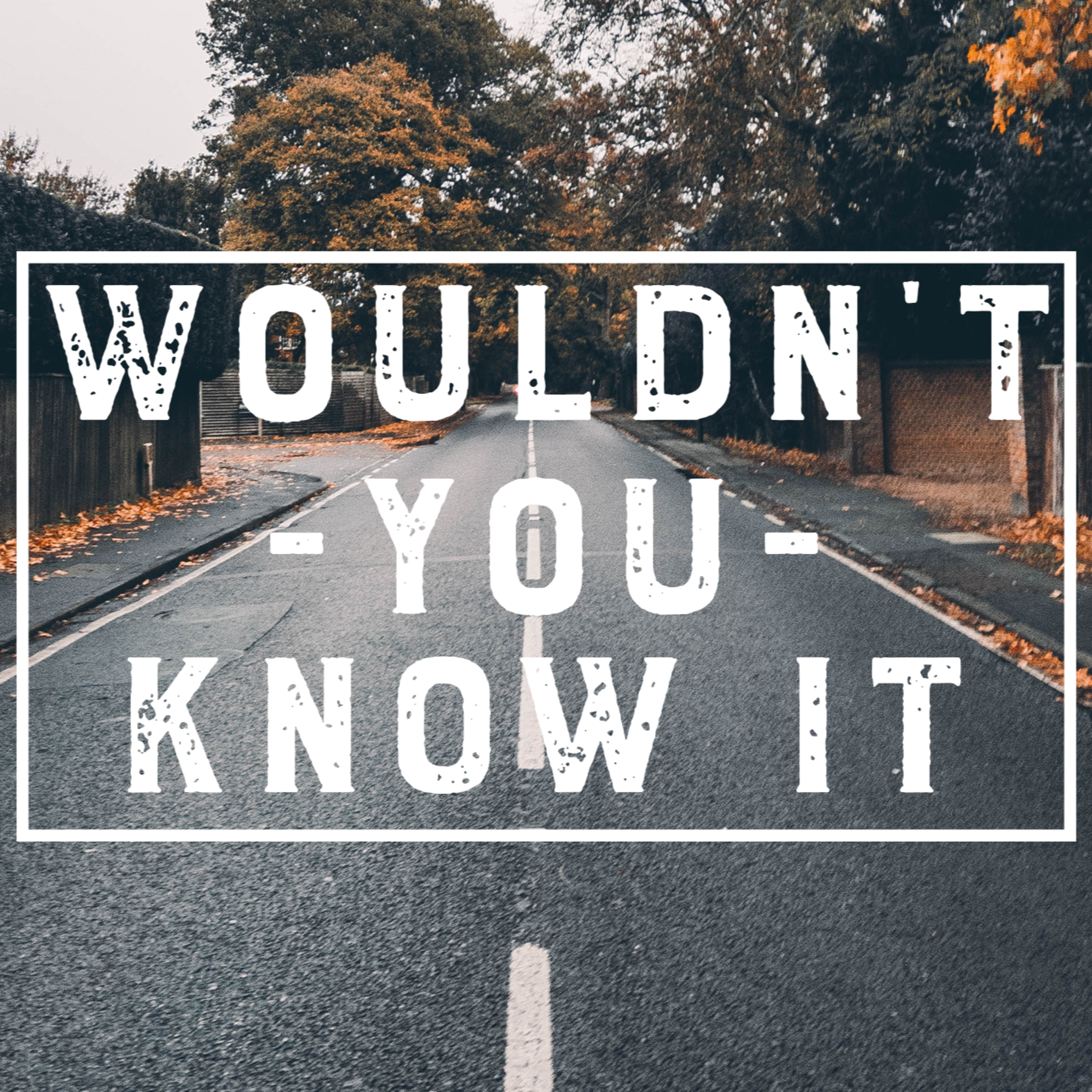 Wouldn\'t You Know it