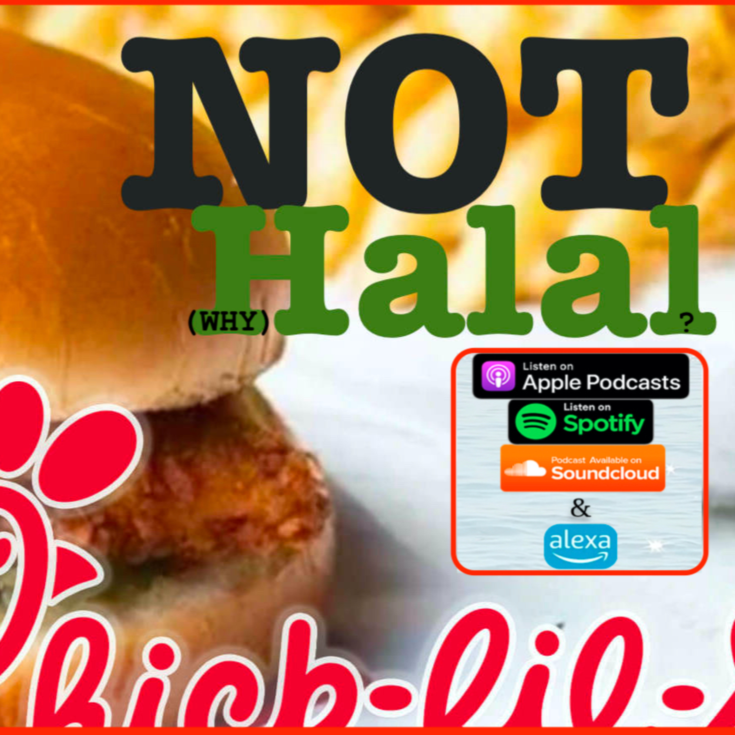 WHY Halal? episode artwork